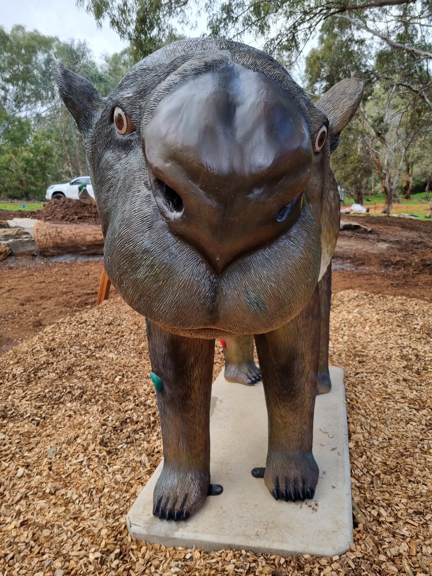 Cormorant Drive Reserve Diprotodon 4