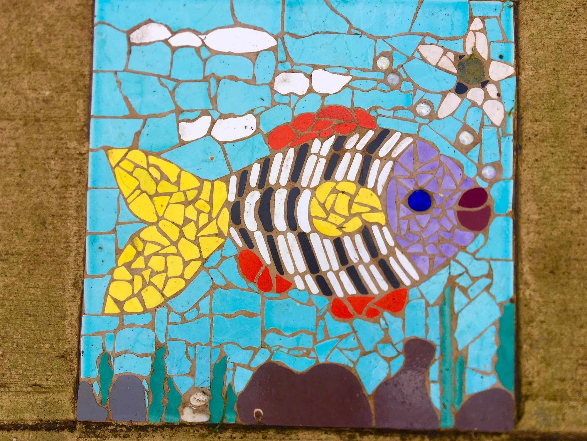 Dumbarton Avenue Reserve Public Art Fish