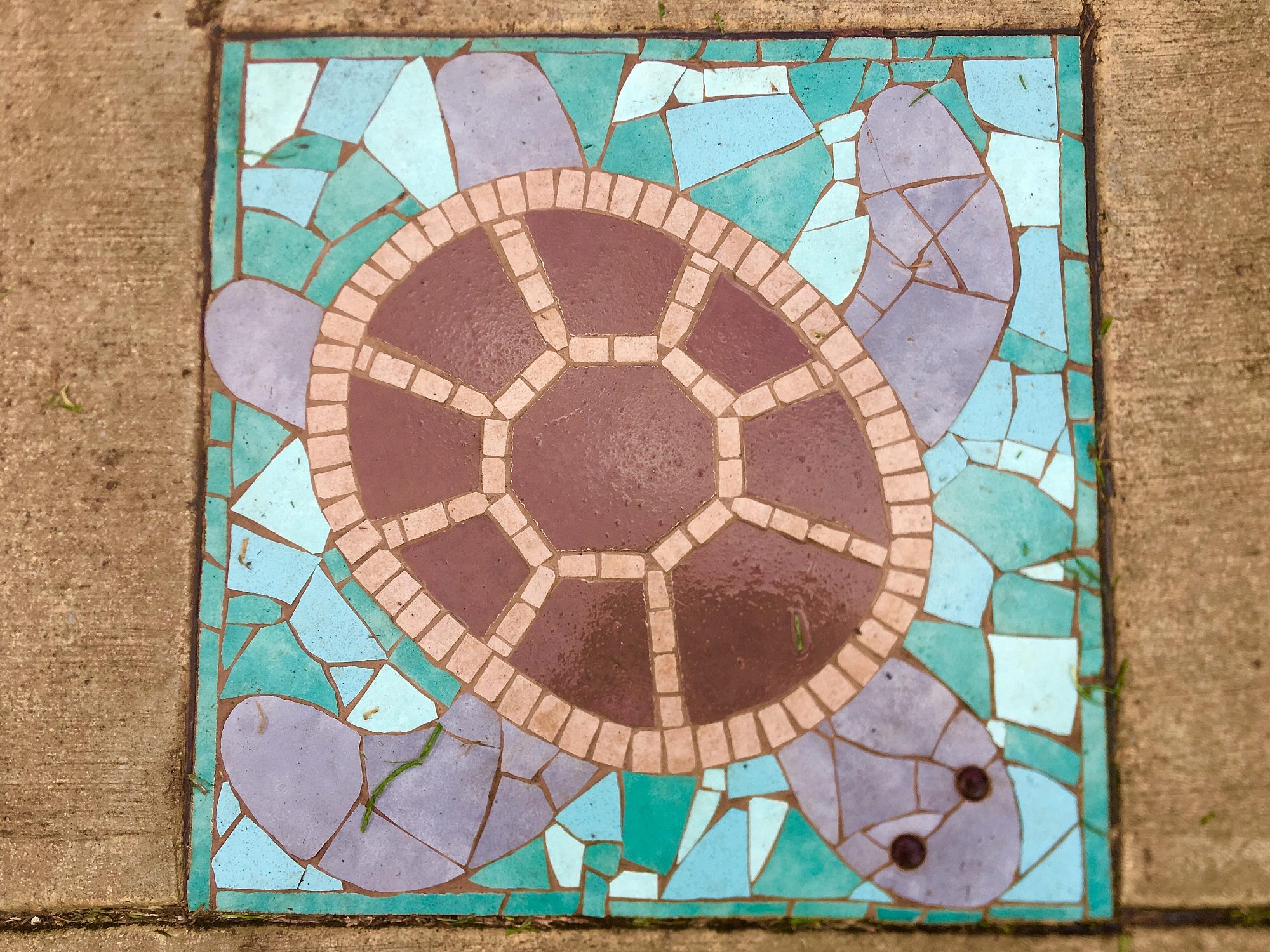 Dumbarton Avenue Reserve Public Art Turtle