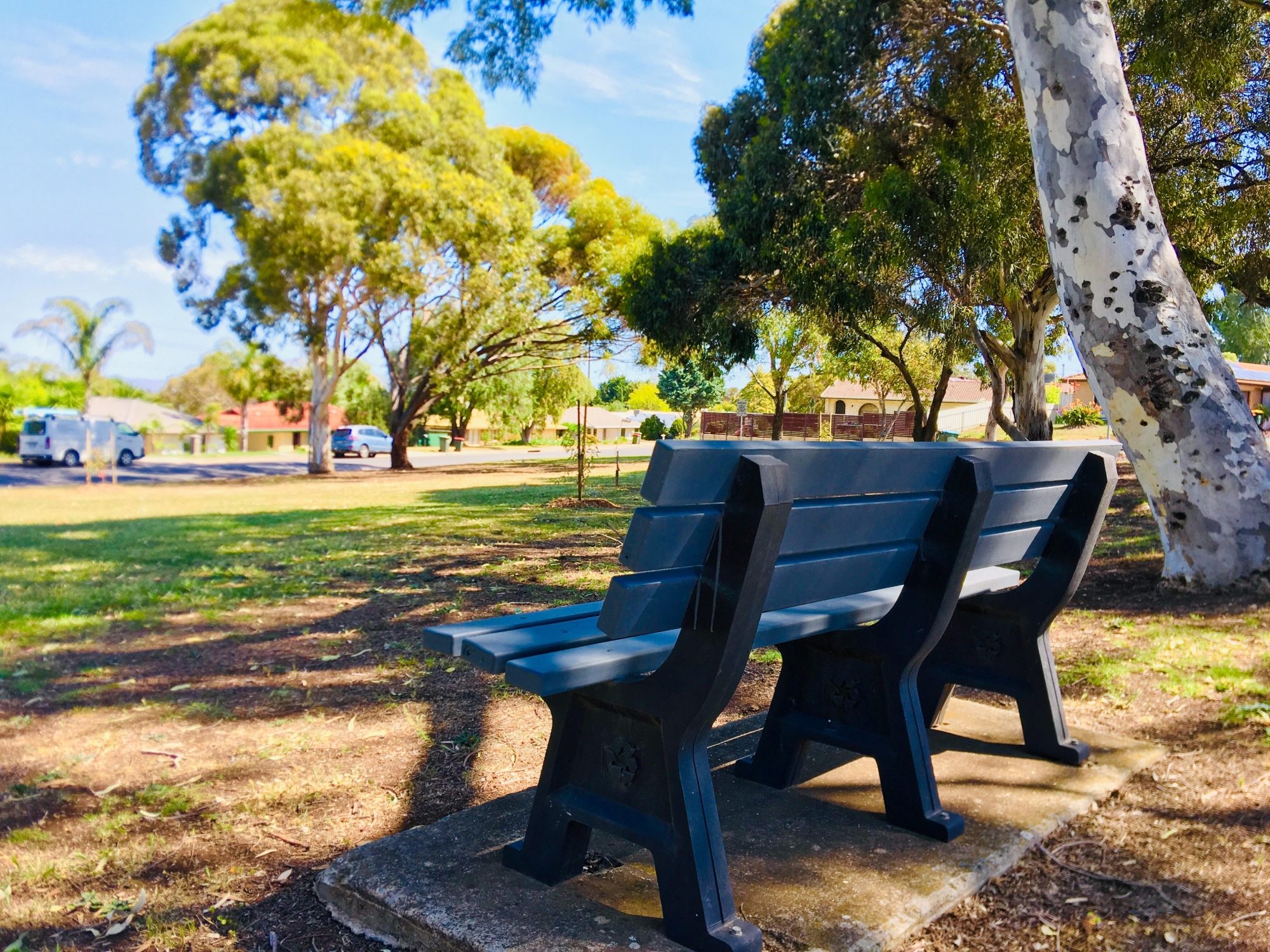 Elura Aenue Reserve Seat 1