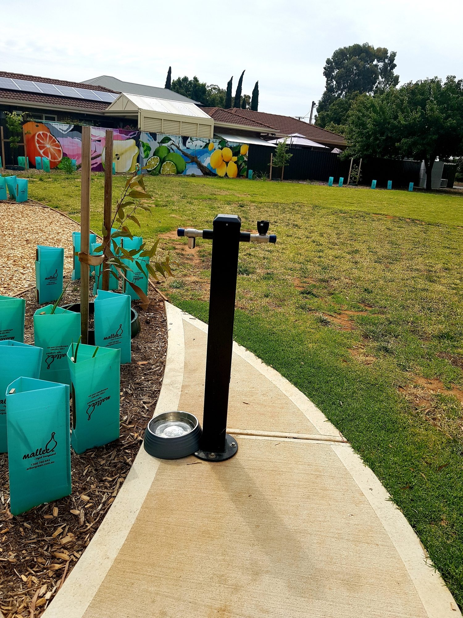 First Avenue Reserve 15