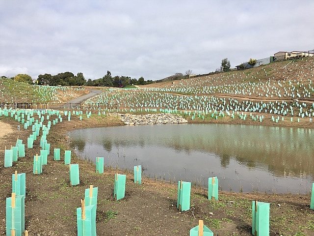 Glade Crescent Reserve Image 35