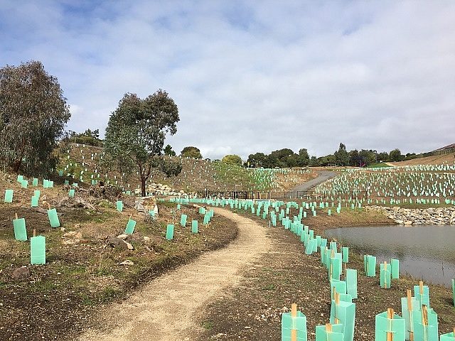 Glade Crescent Reserve Image 36