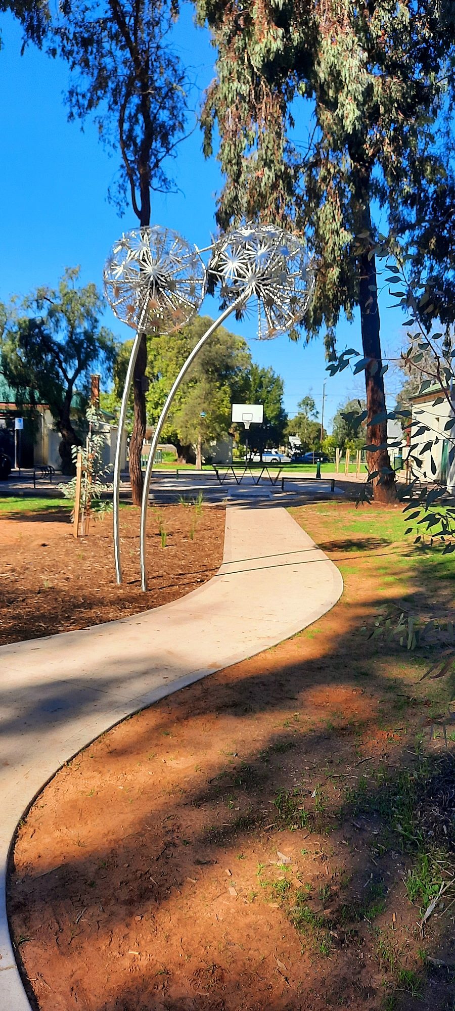 Glandore Community Centre Reserve 6