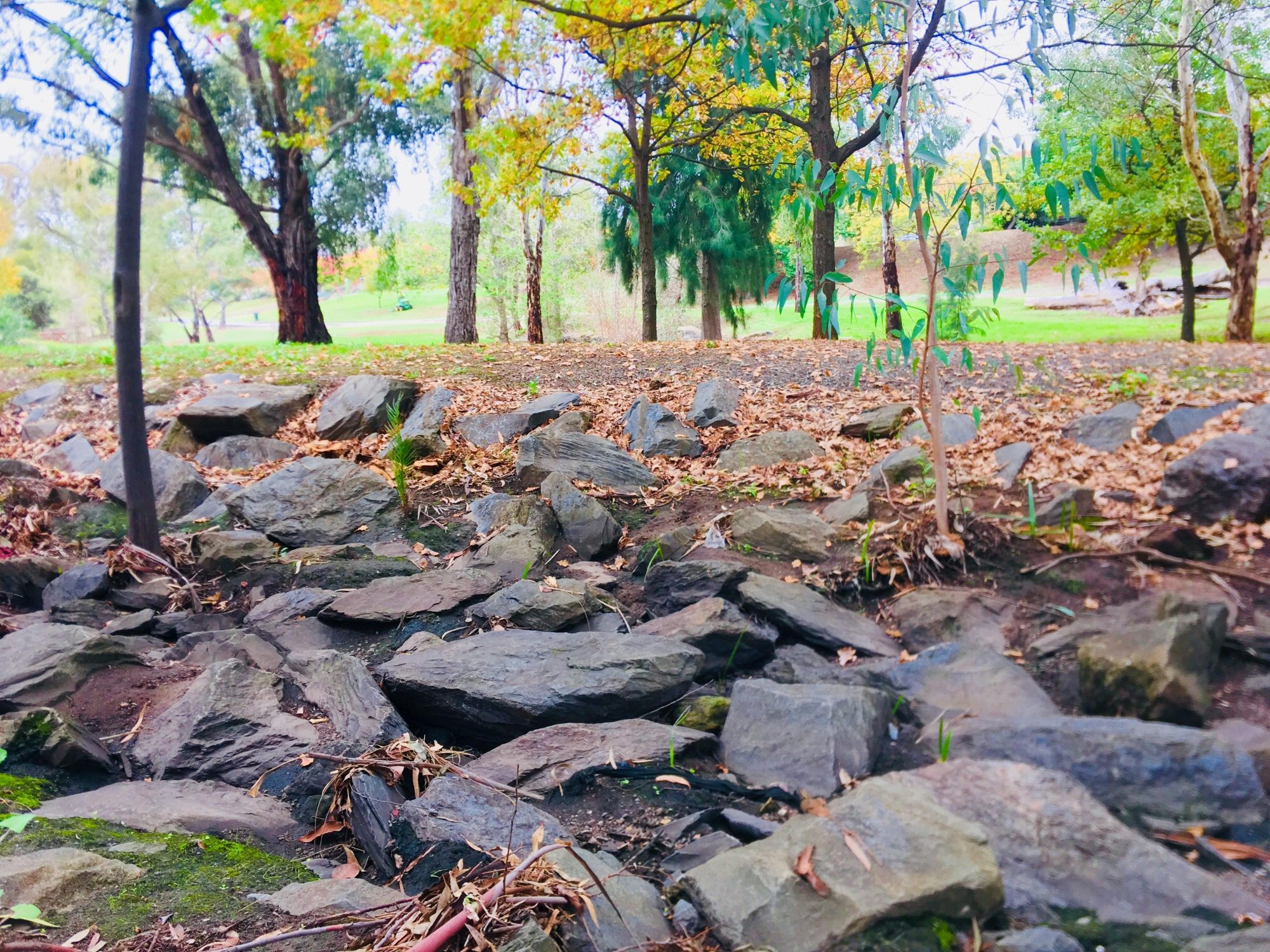 Hugh Johnson Boulevard Reserve Rocky River 2