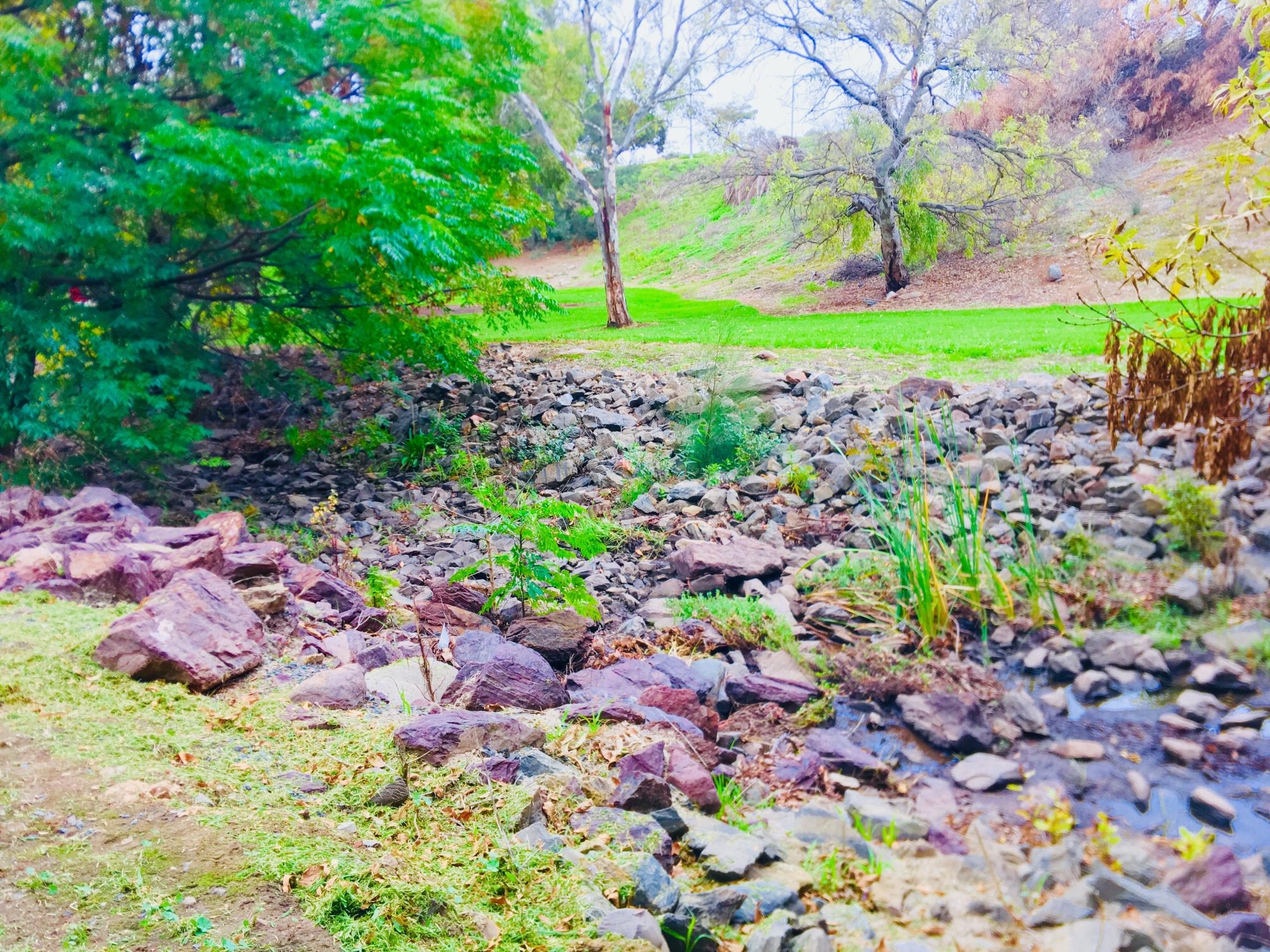 Hugh Johnson Boulevard Reserve Rocky River