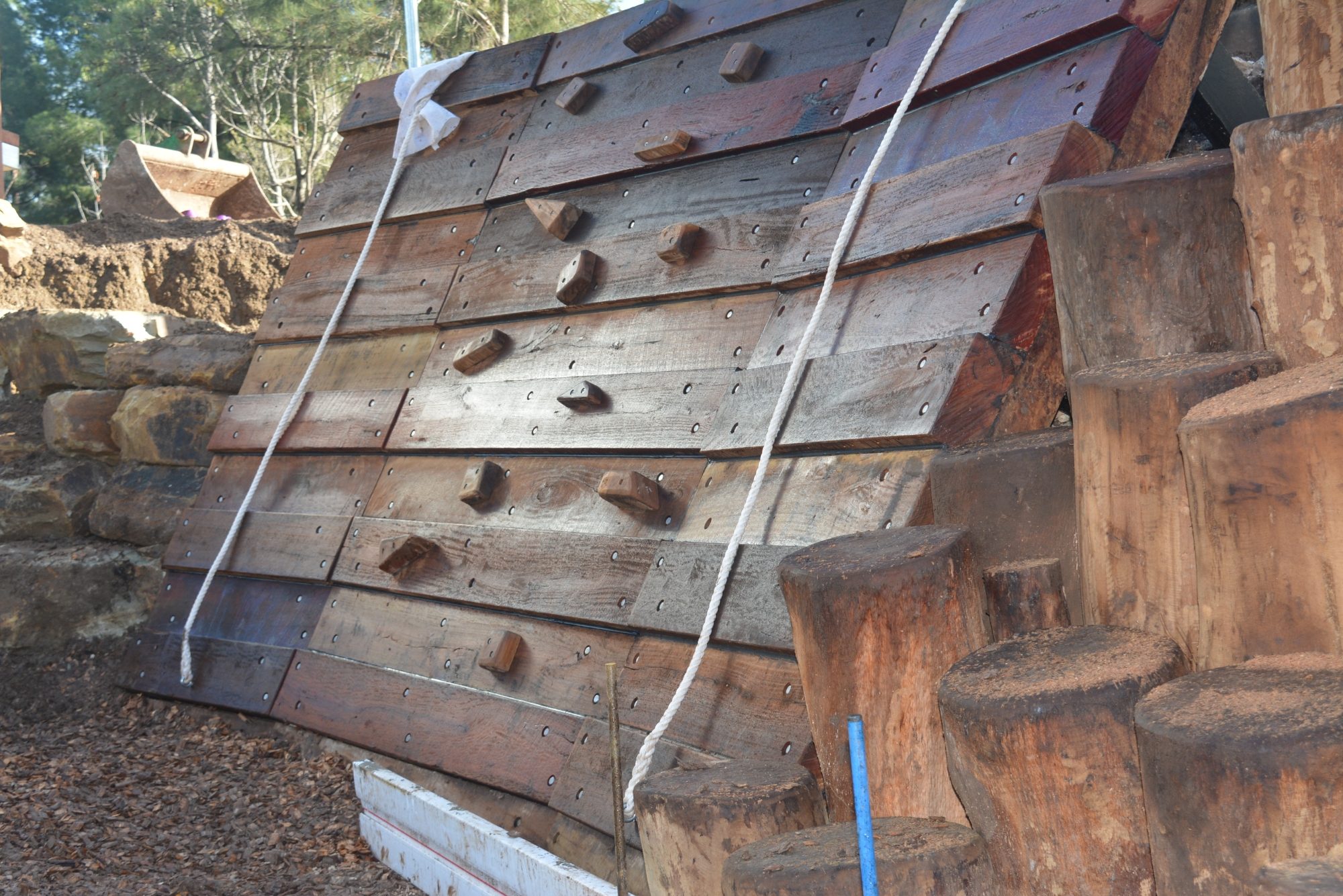 Hugh Johnson Reserve climbing DSC 0918