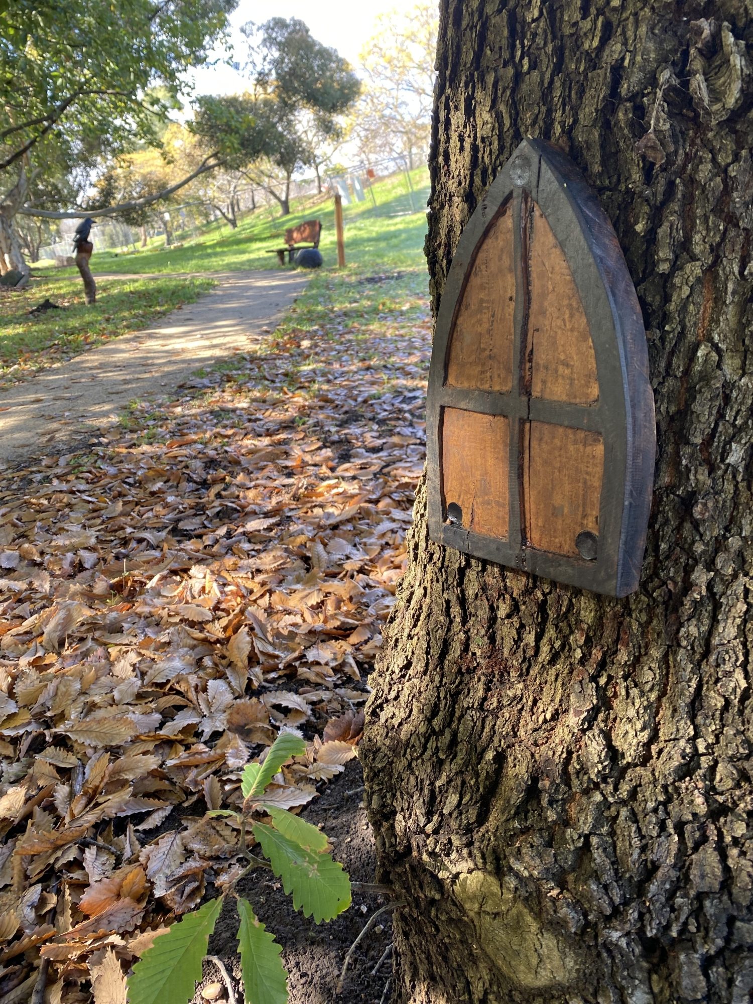 Hugh Johnson Reserve fairy door 2 IMG 1560