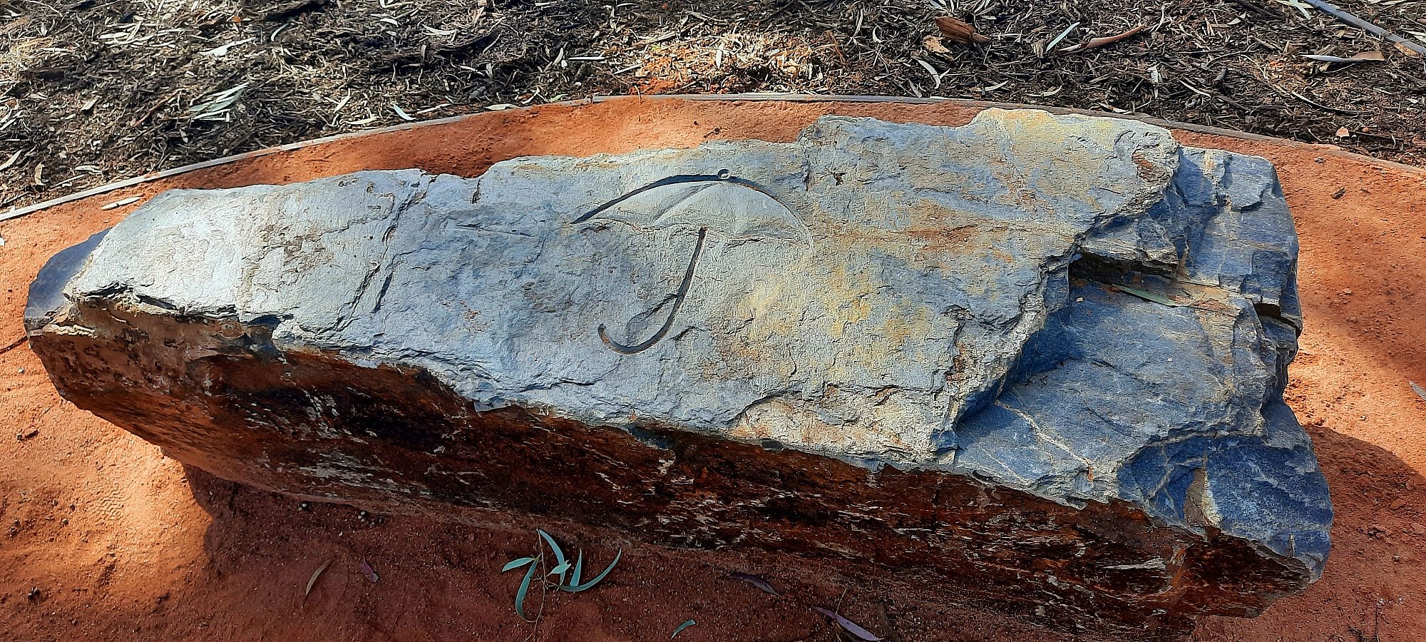 Hume Street Reserve 3 1