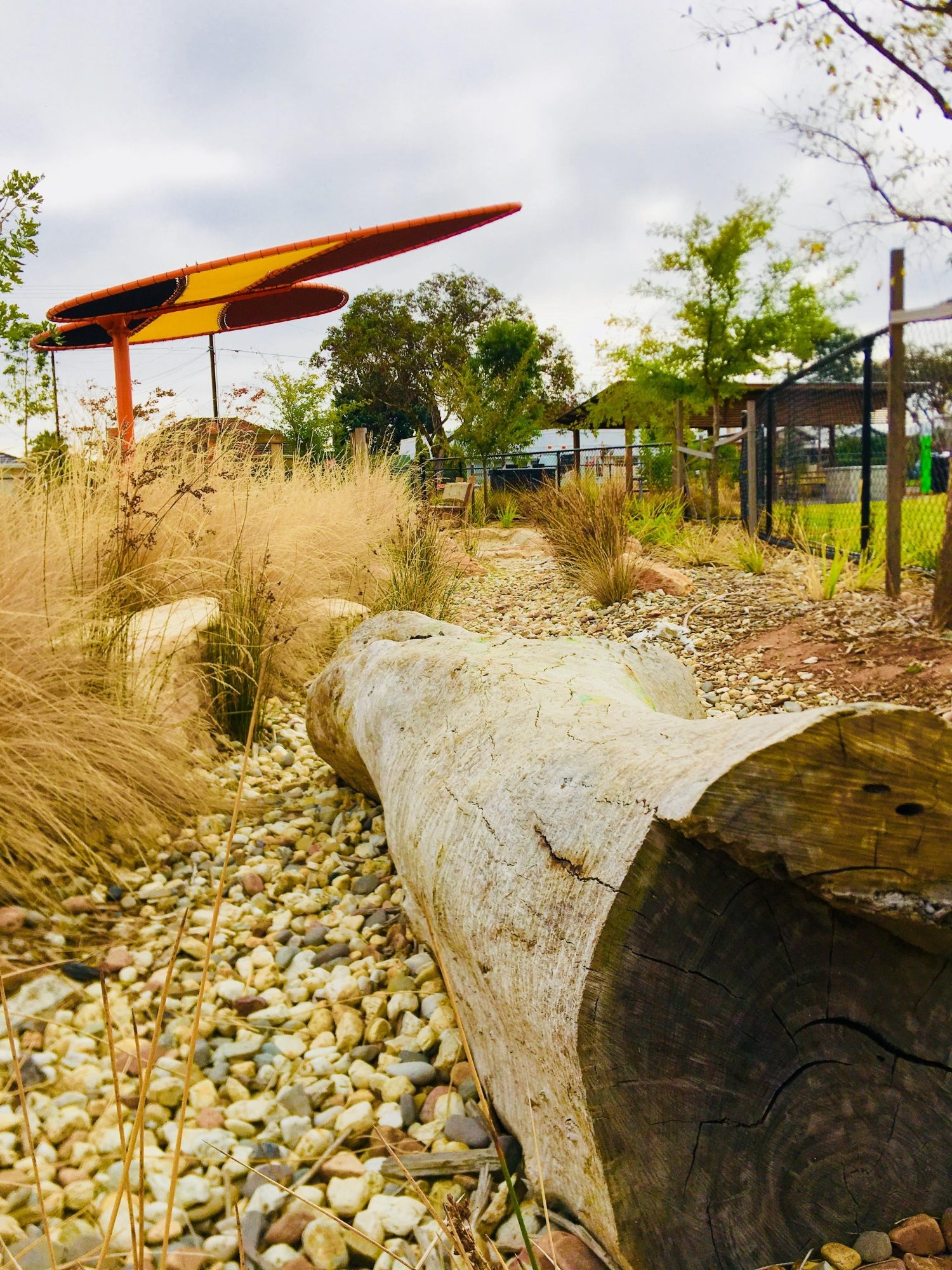 Jervois Street Reserve Junior Rocky River 2