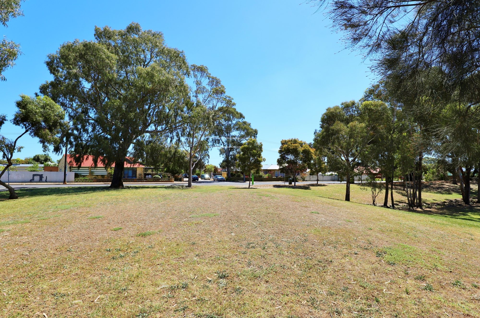 Kensington Street Reserve 2