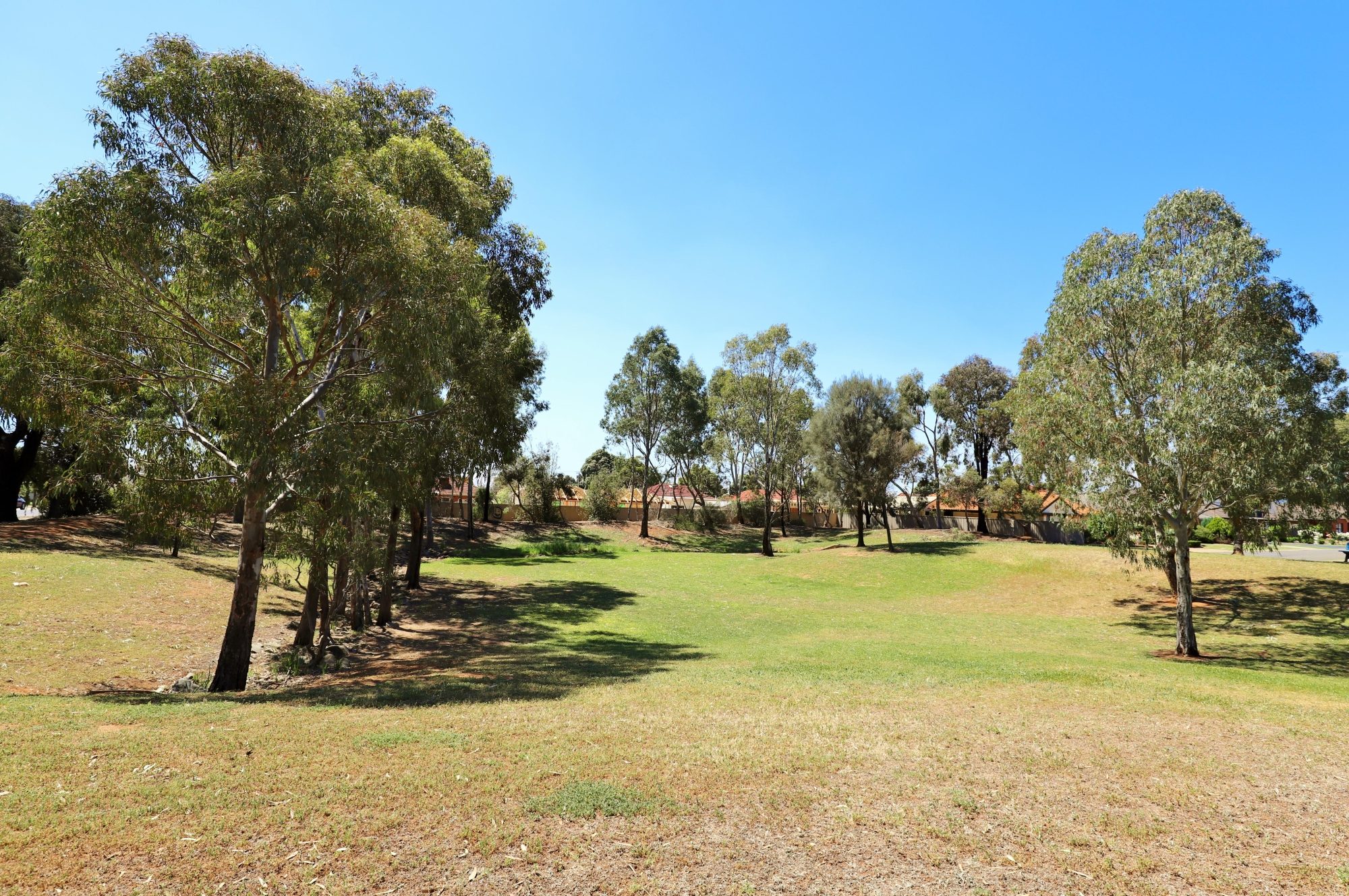 Kensington Street Reserve 3