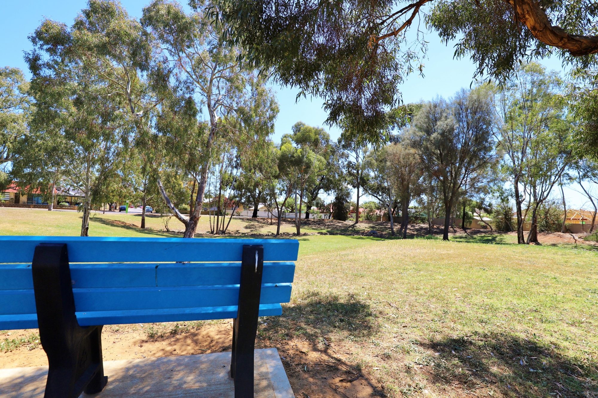 Kensington Street Reserve Facilities Seat 1
