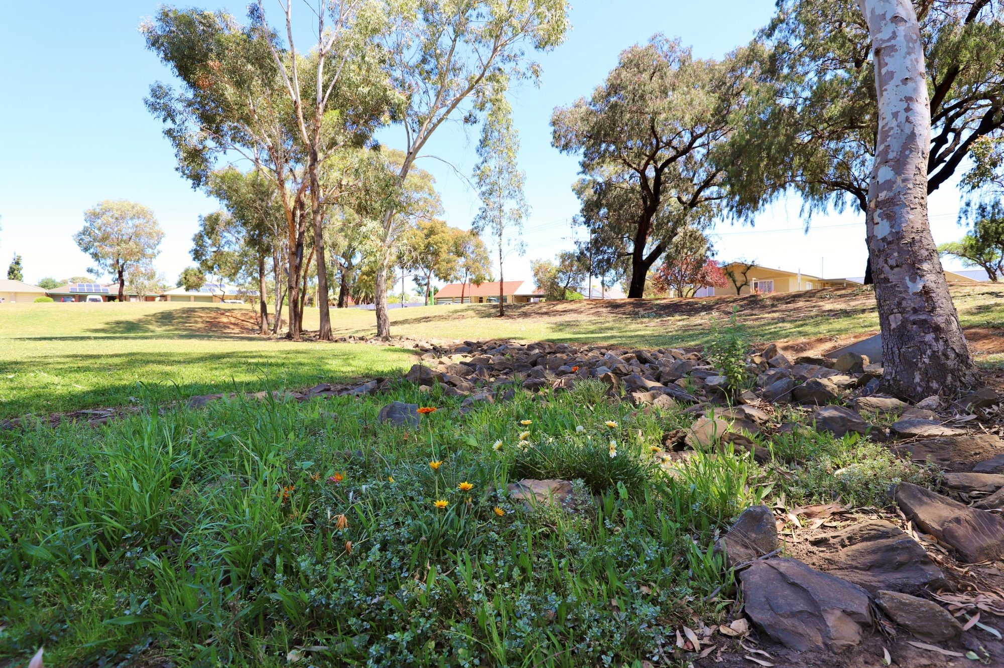 Kensington Street Reserve Rocky River 4