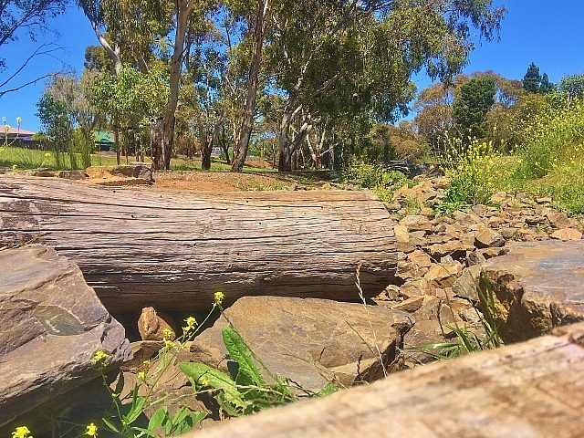 Linear Park Reserve Playspace Rocky River 2