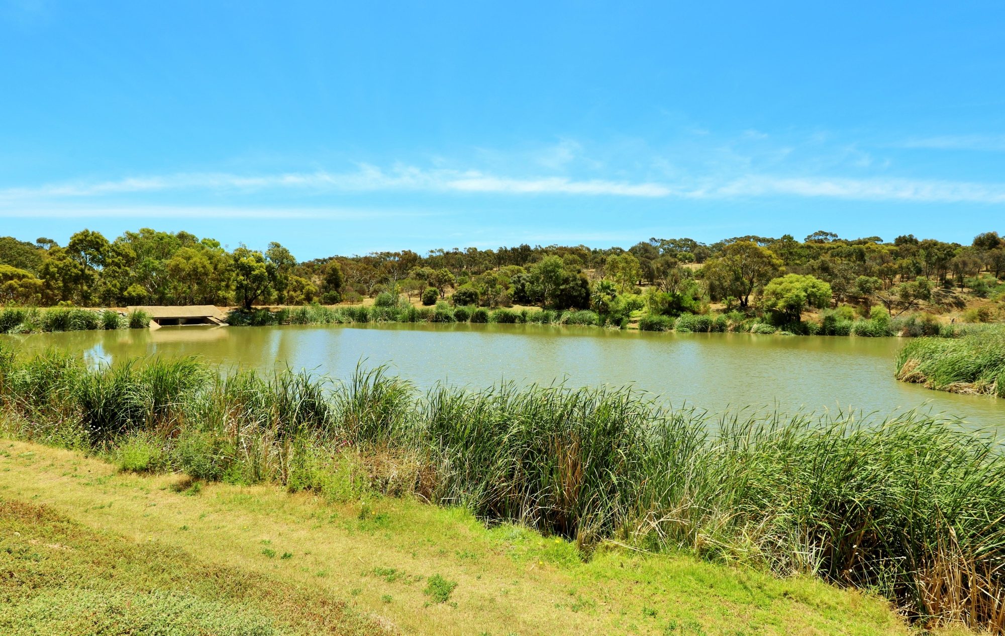 Lucretia Way Reserve 1