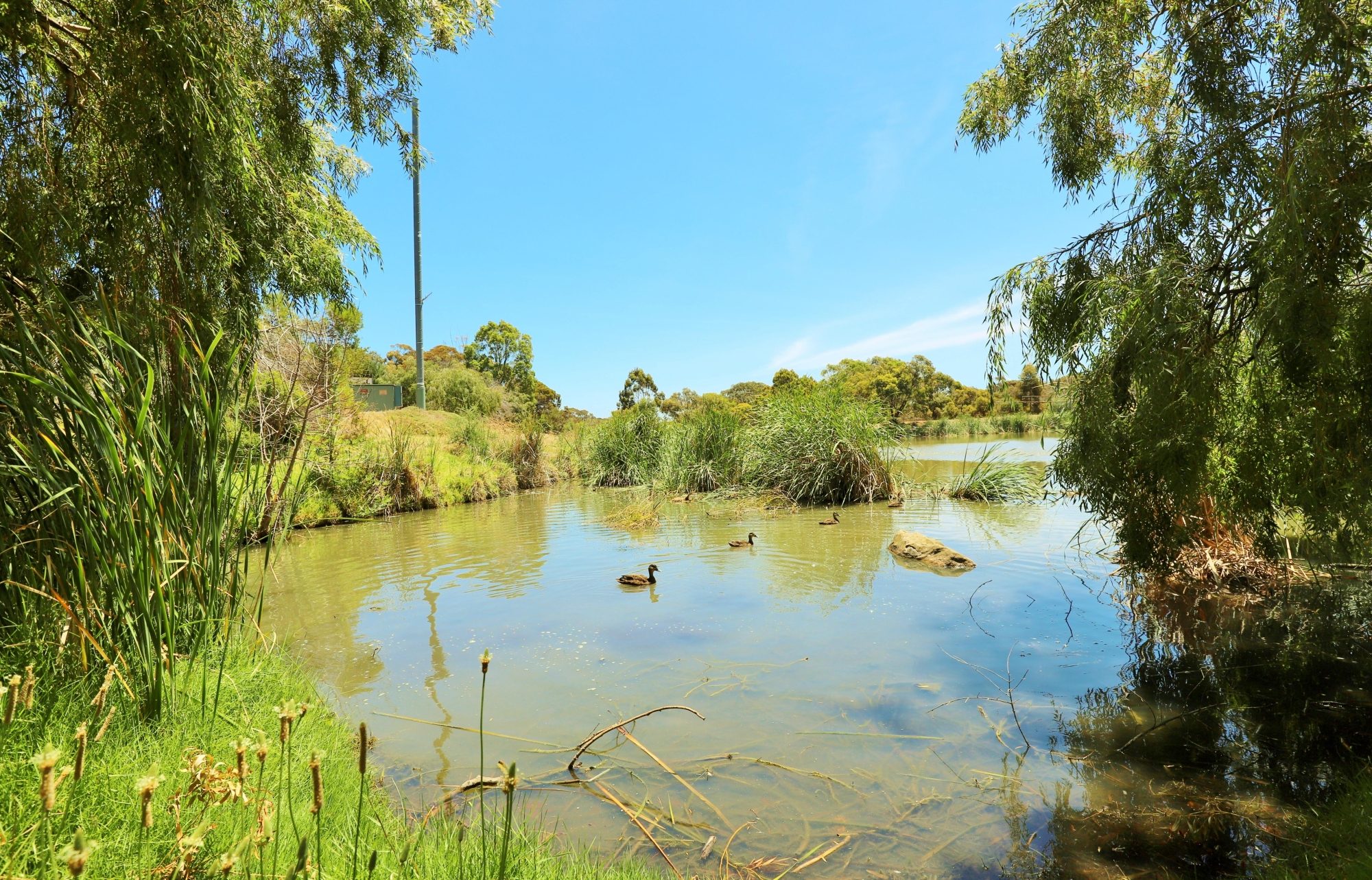 Lucretia Way Reserve 20