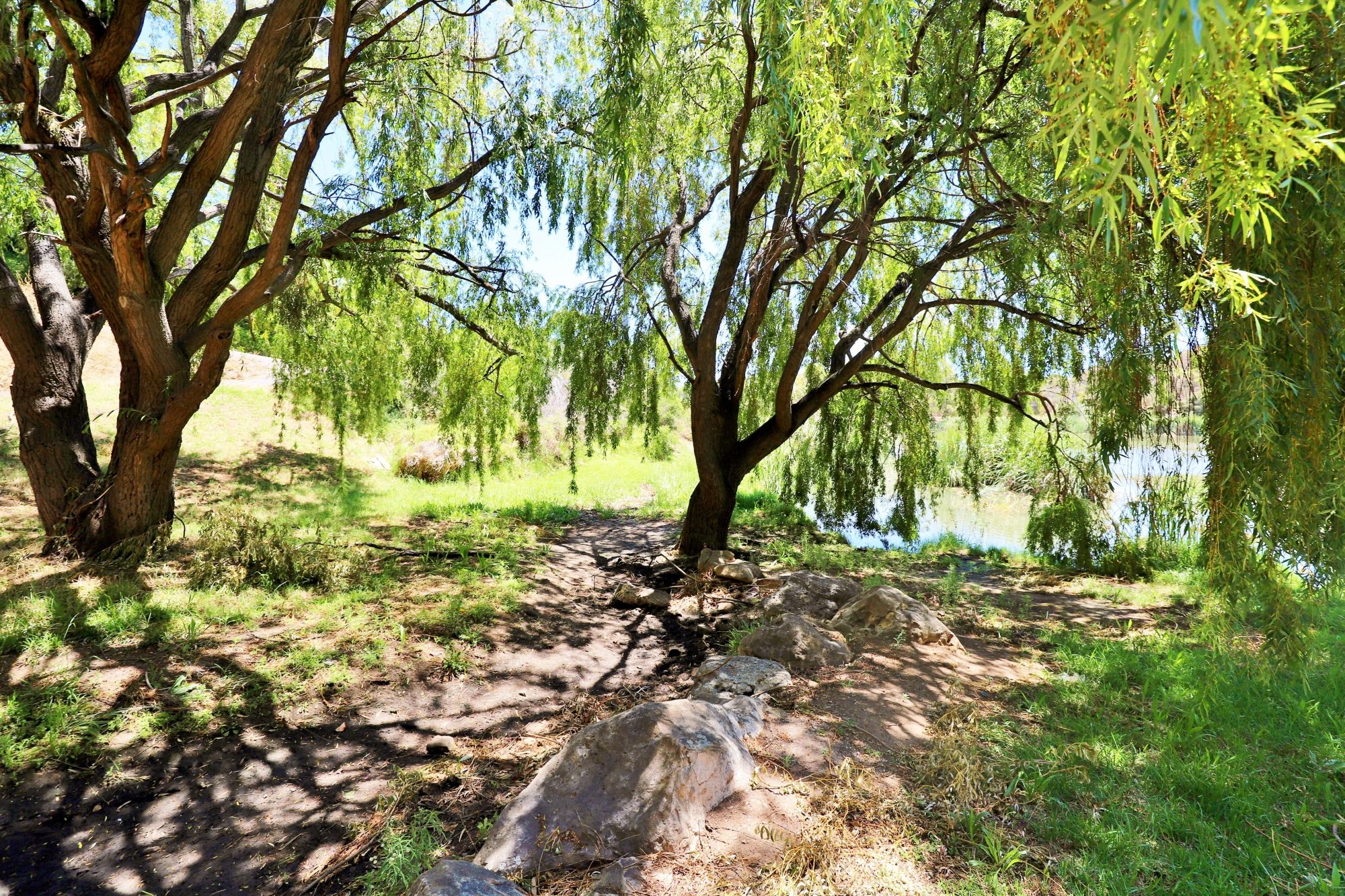 Lucretia Way Reserve 22