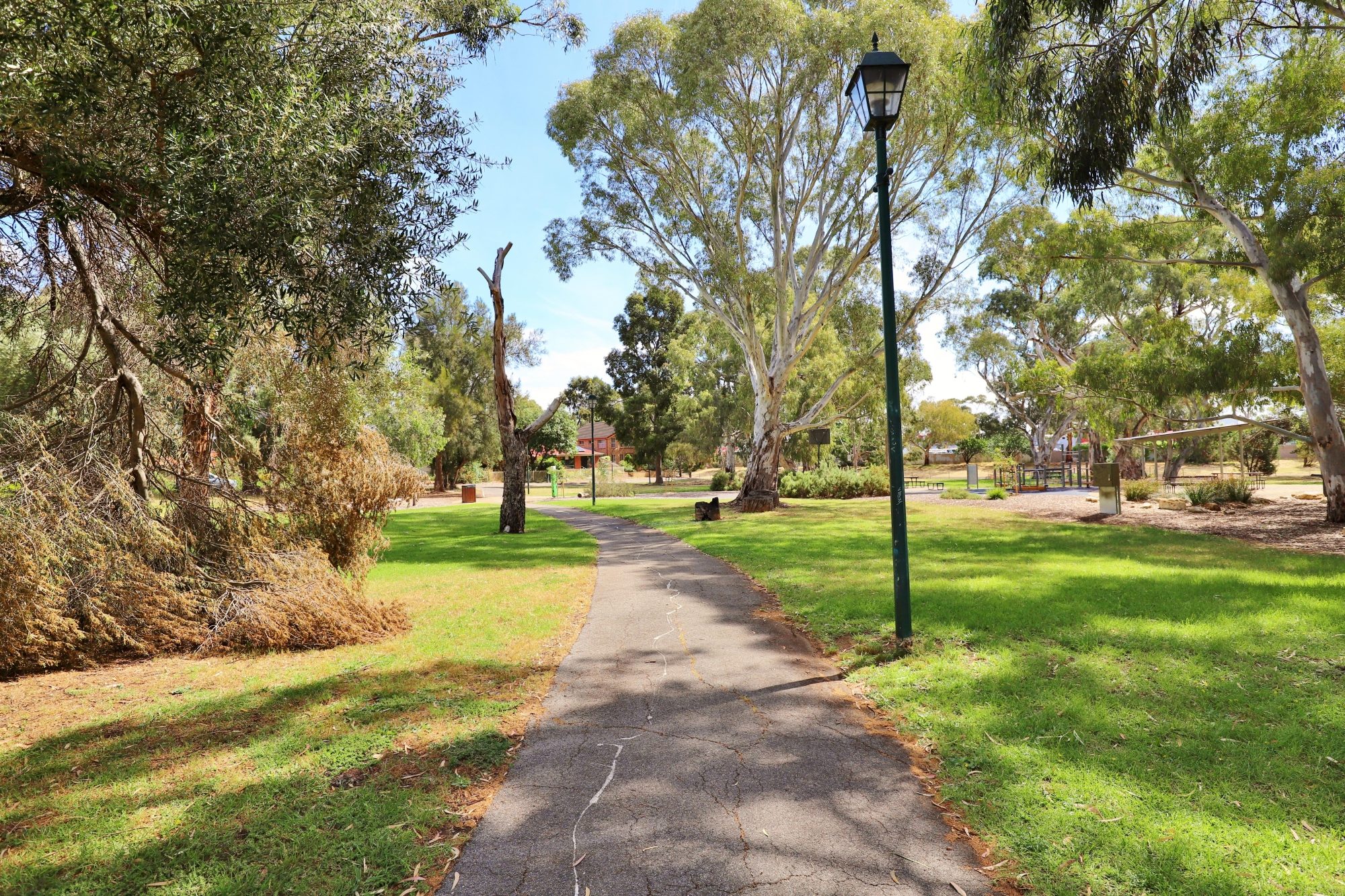 Maldon Avenue Reserve Facilities Lighting 1