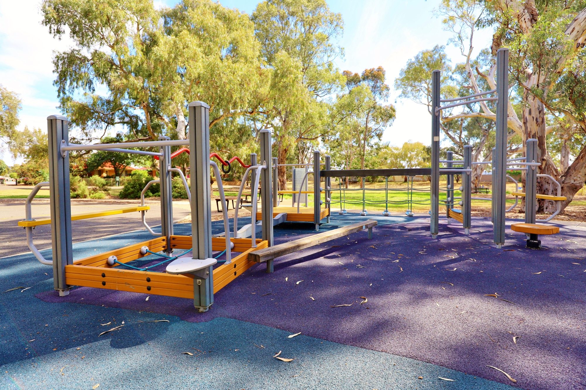 Maldon Avenue Reserve Sport Intergenrational Playground 2