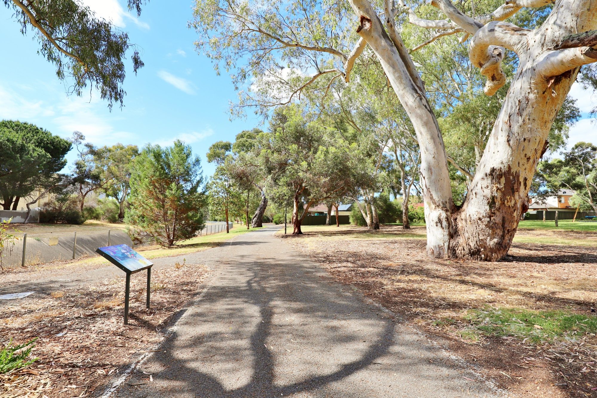 Maldon Avenue Reserve Sturt River Linear Park 2
