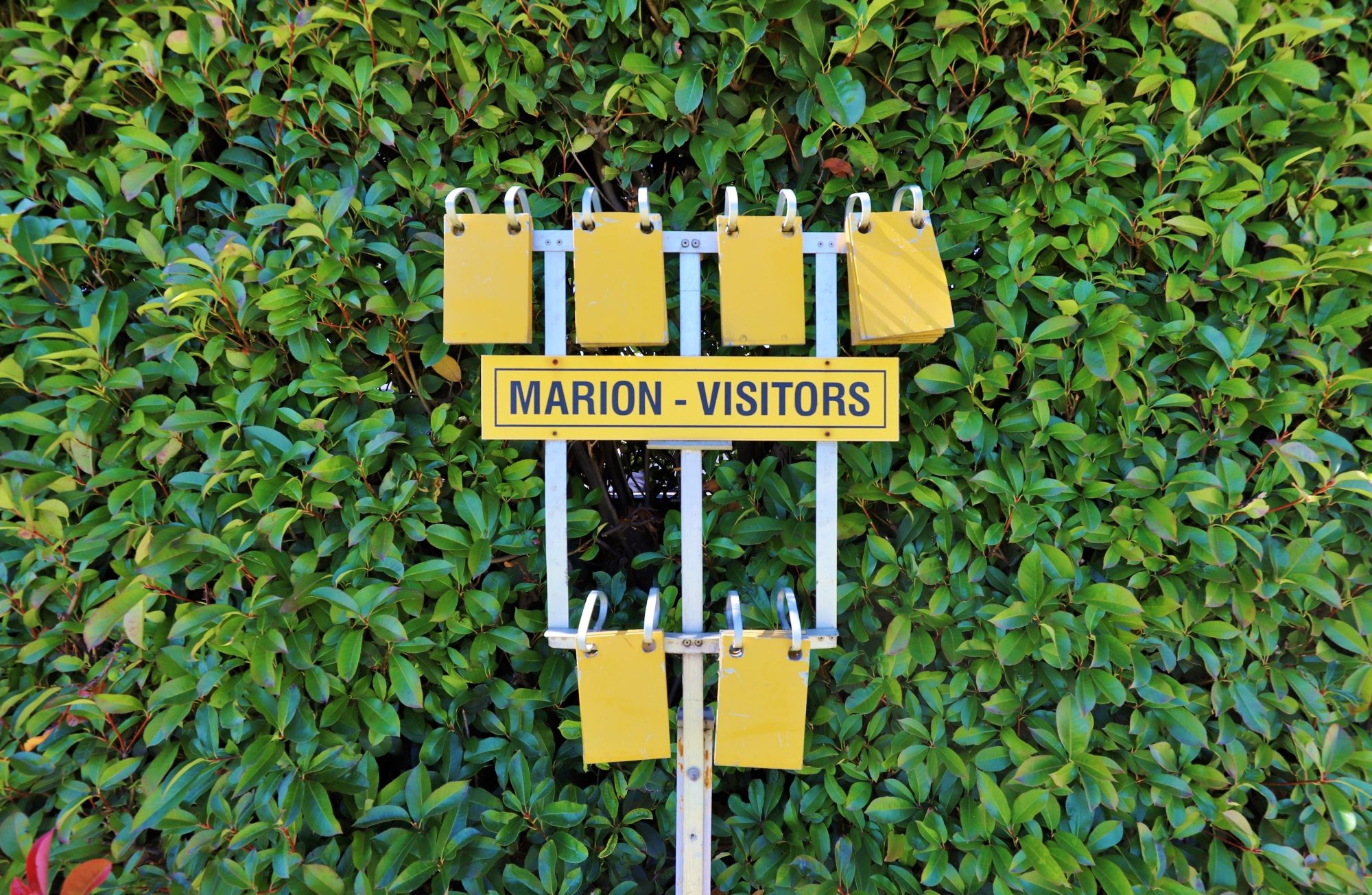 Marion Oval Lawn Bowls Score 1