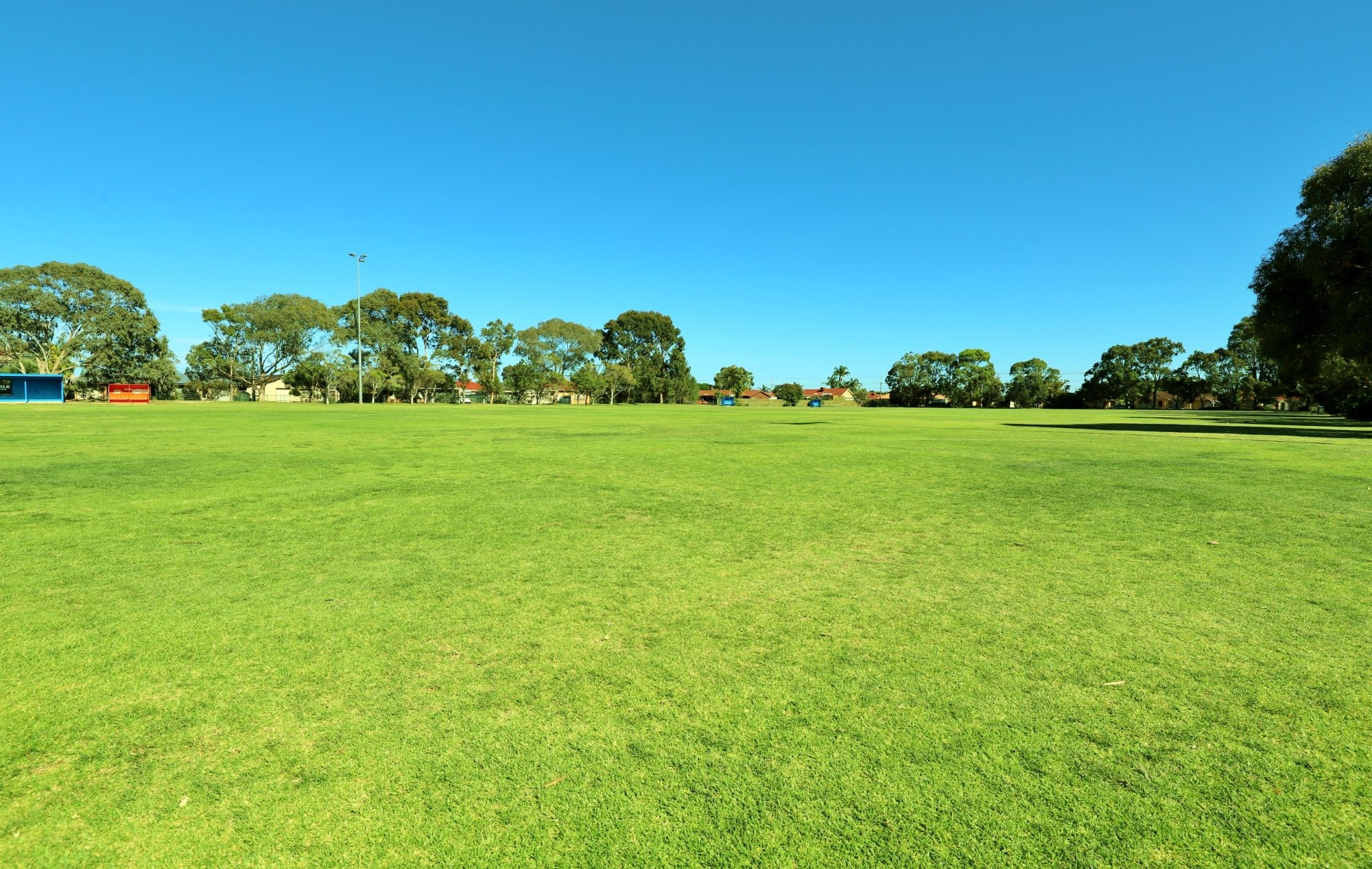 Marion Oval Western Field Cricket 1