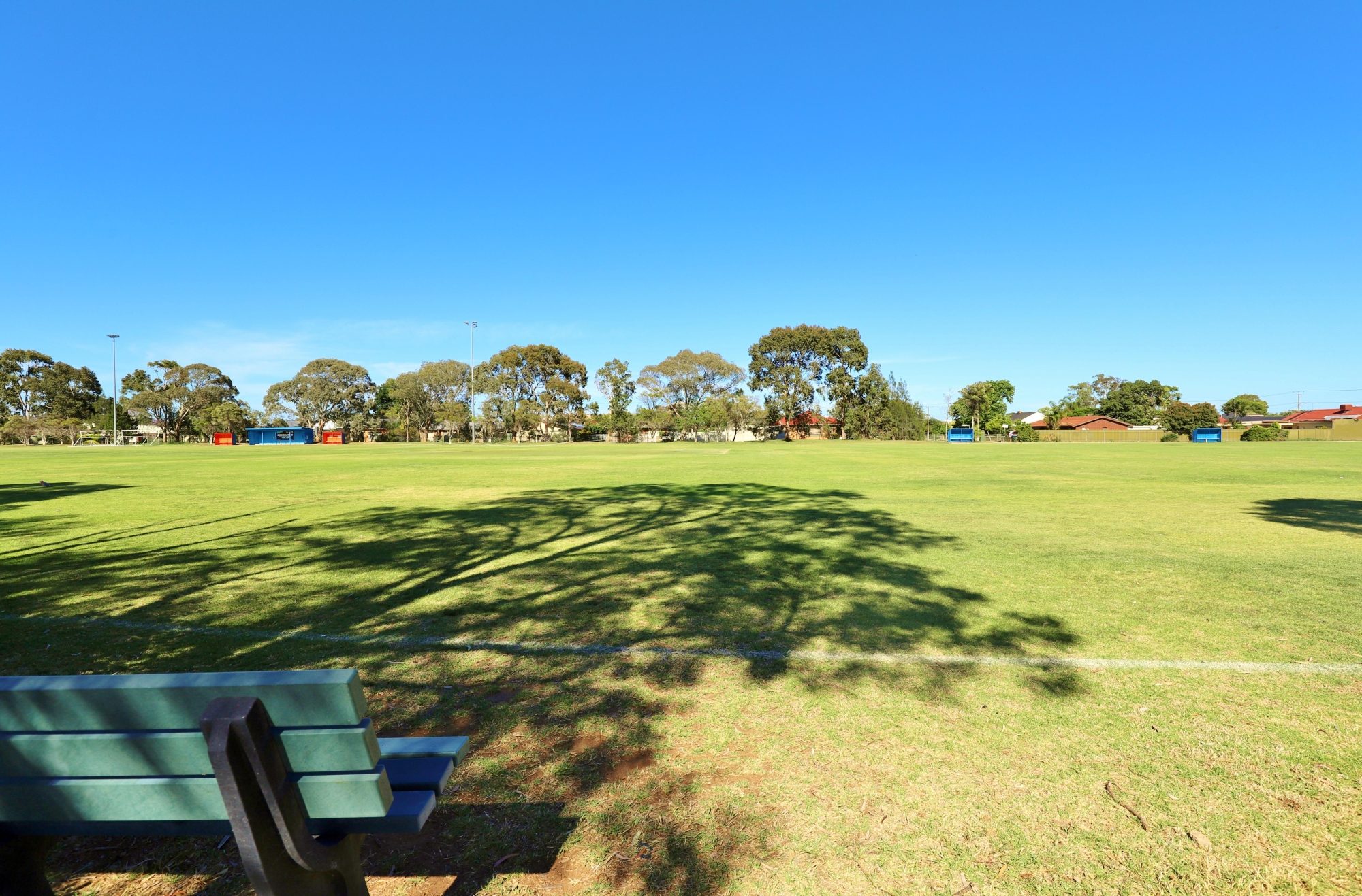 Marion Oval Western Field Cricket 2