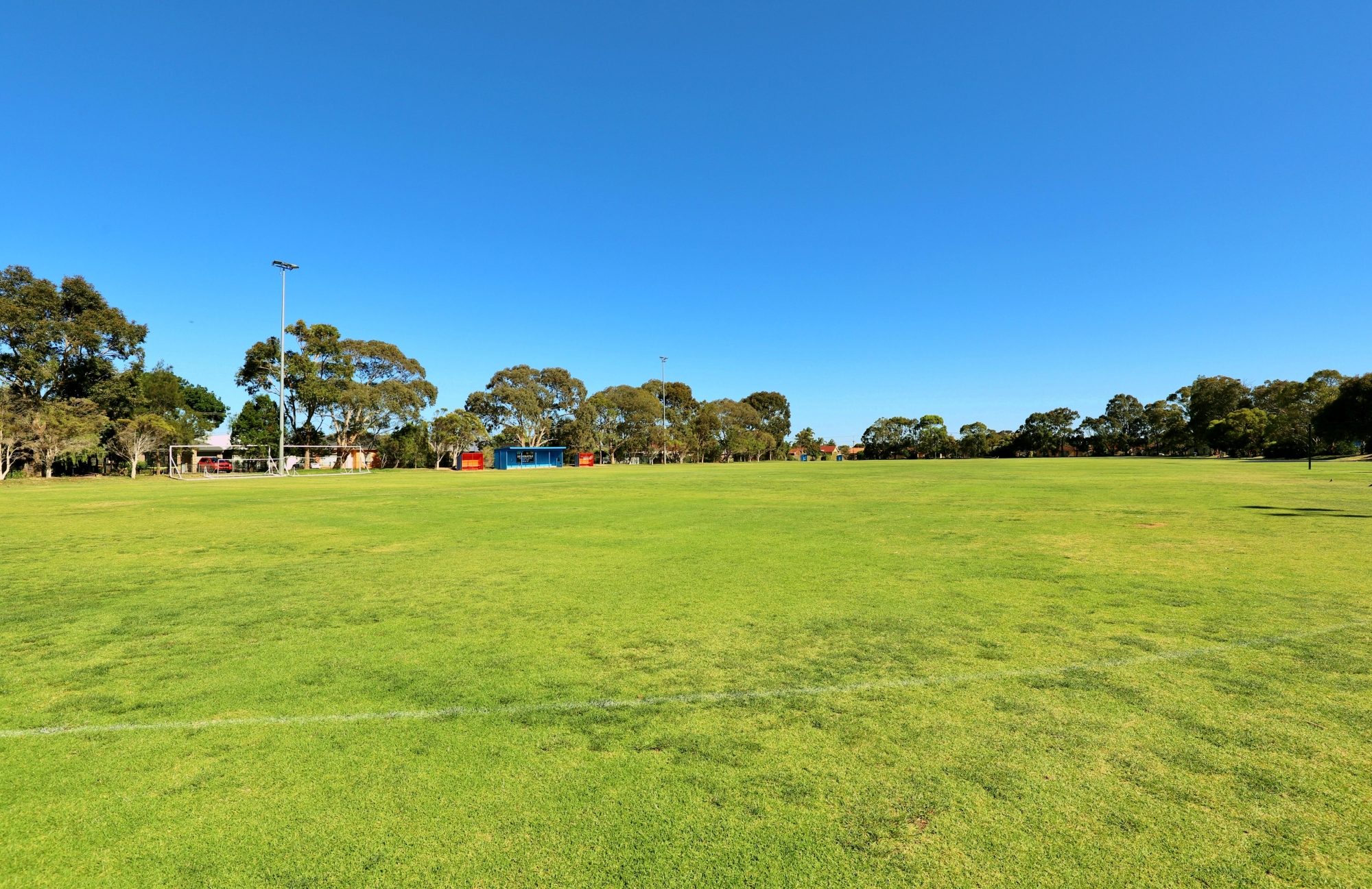 Marion Oval Western Field Cricket 3