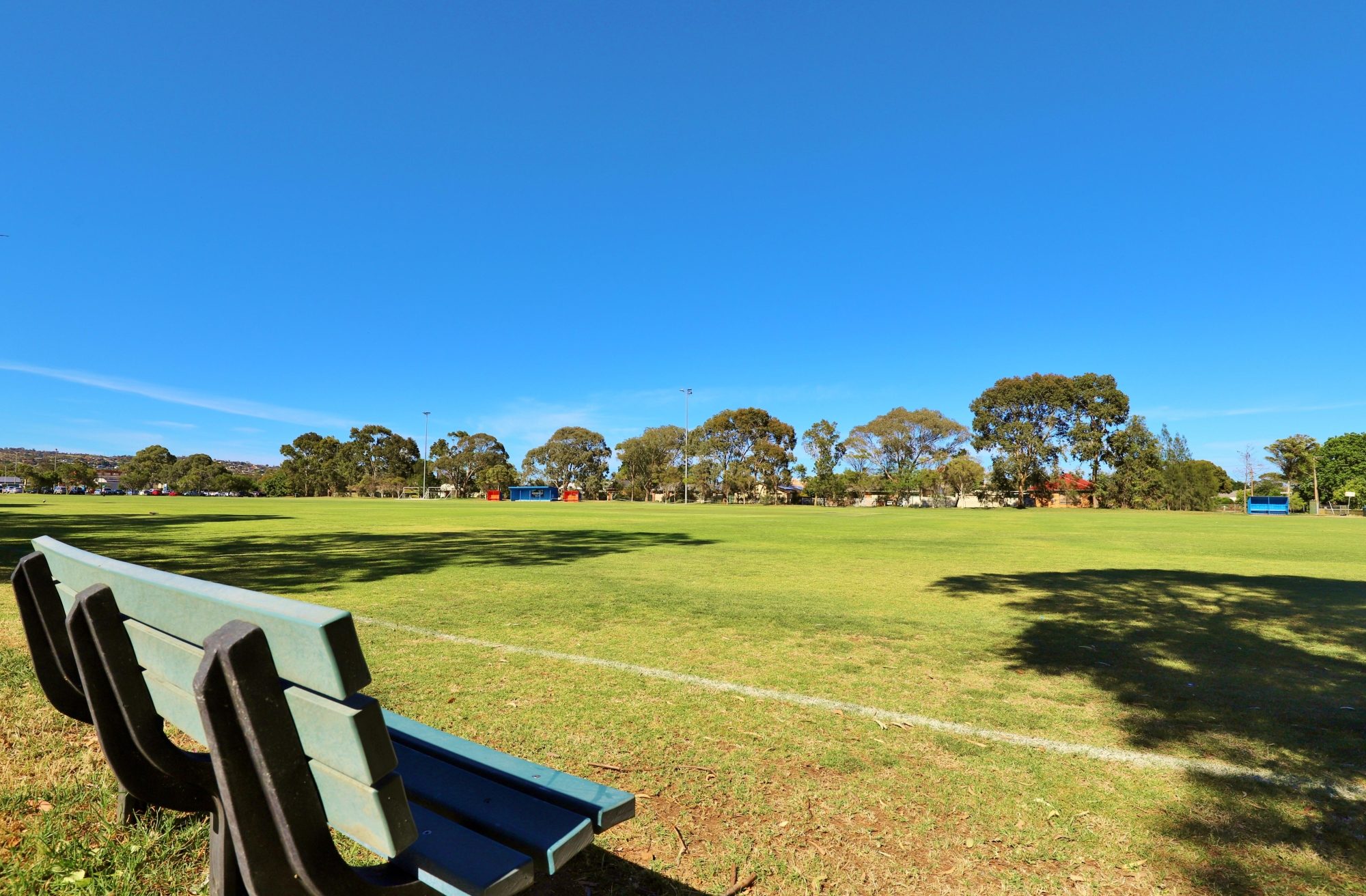 Marion Oval Western Field Cricket 4