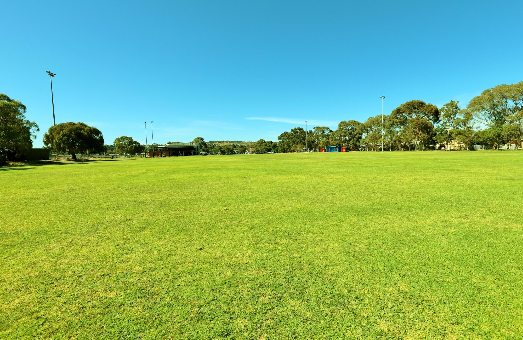 Marion Oval Western Field Cricket 6