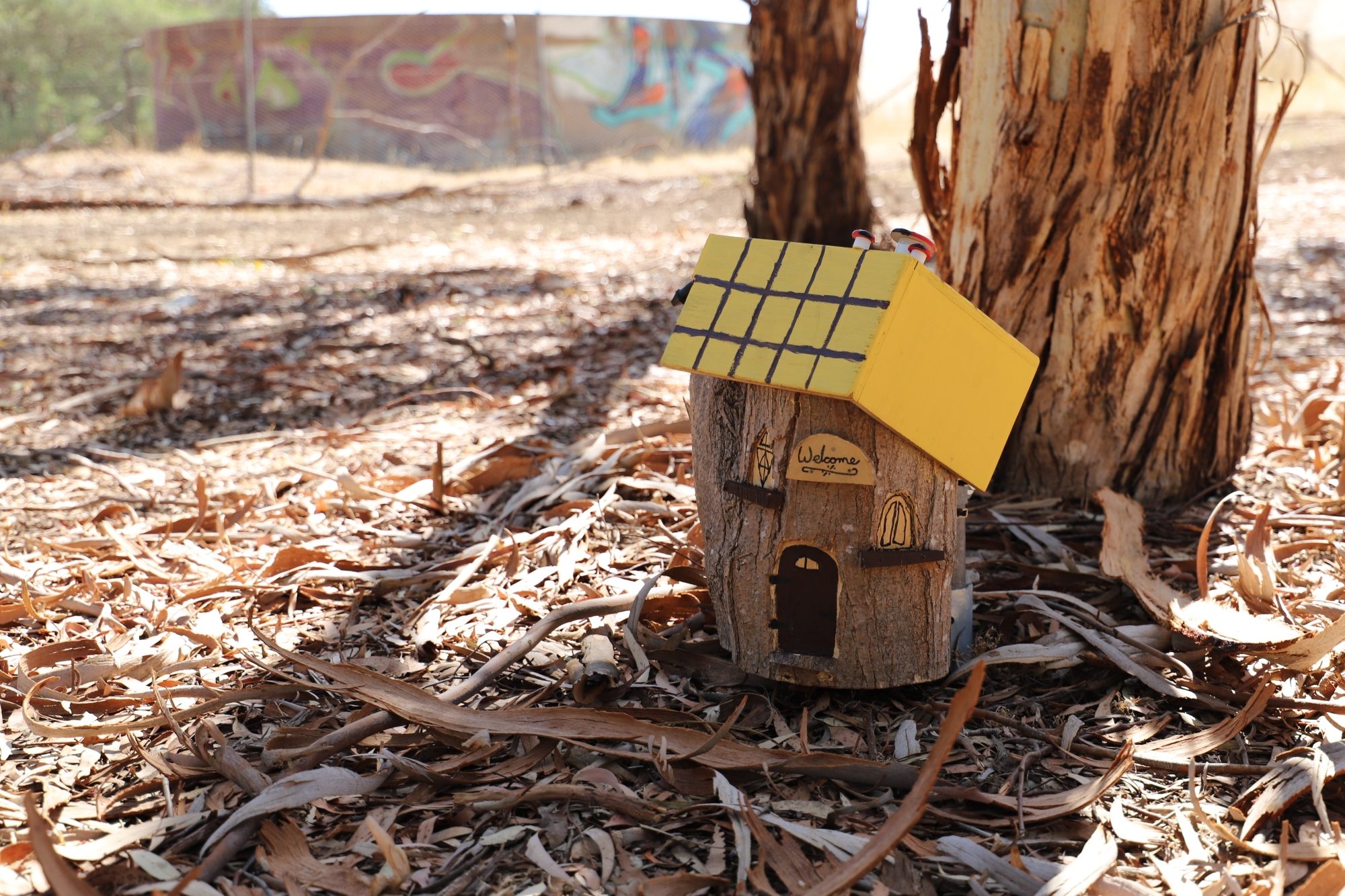 Matthew Street Reserve Fairy Garden 20