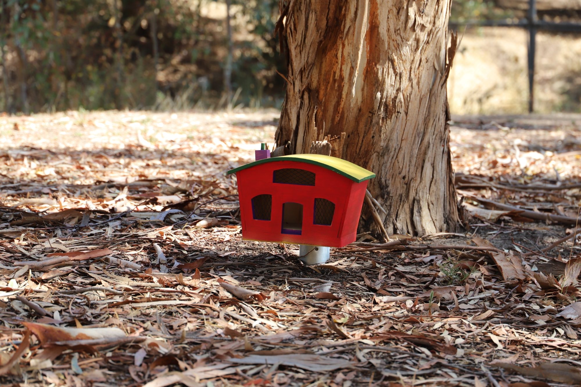 Matthew Street Reserve Fairy Garden 4
