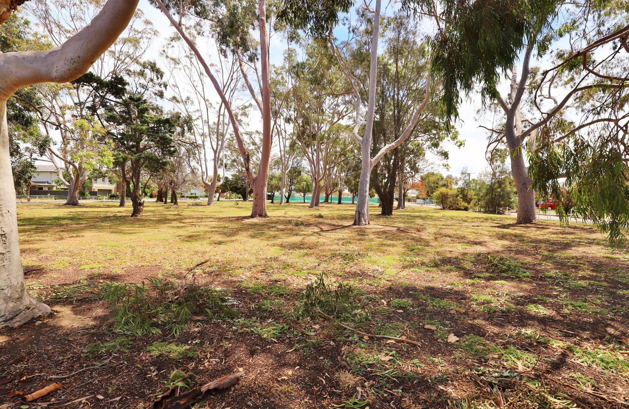 Mckellar Terrace Reserve Southern End 2