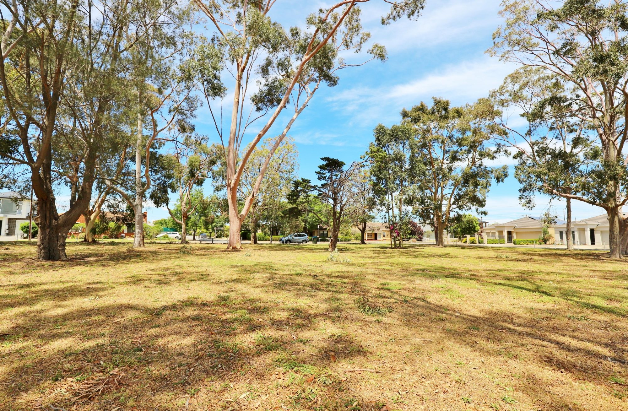 Mckellar Terrace Reserve Southern End 3