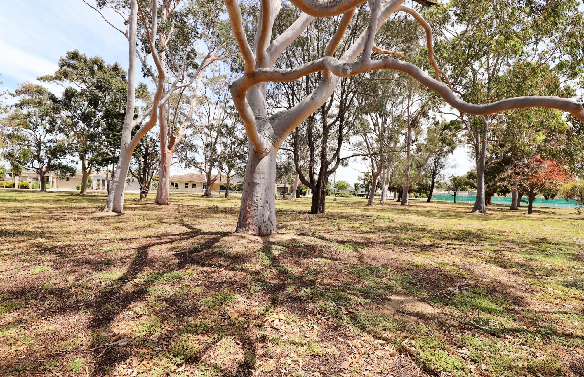 Mckellar Terrace Reserve Southern End 4