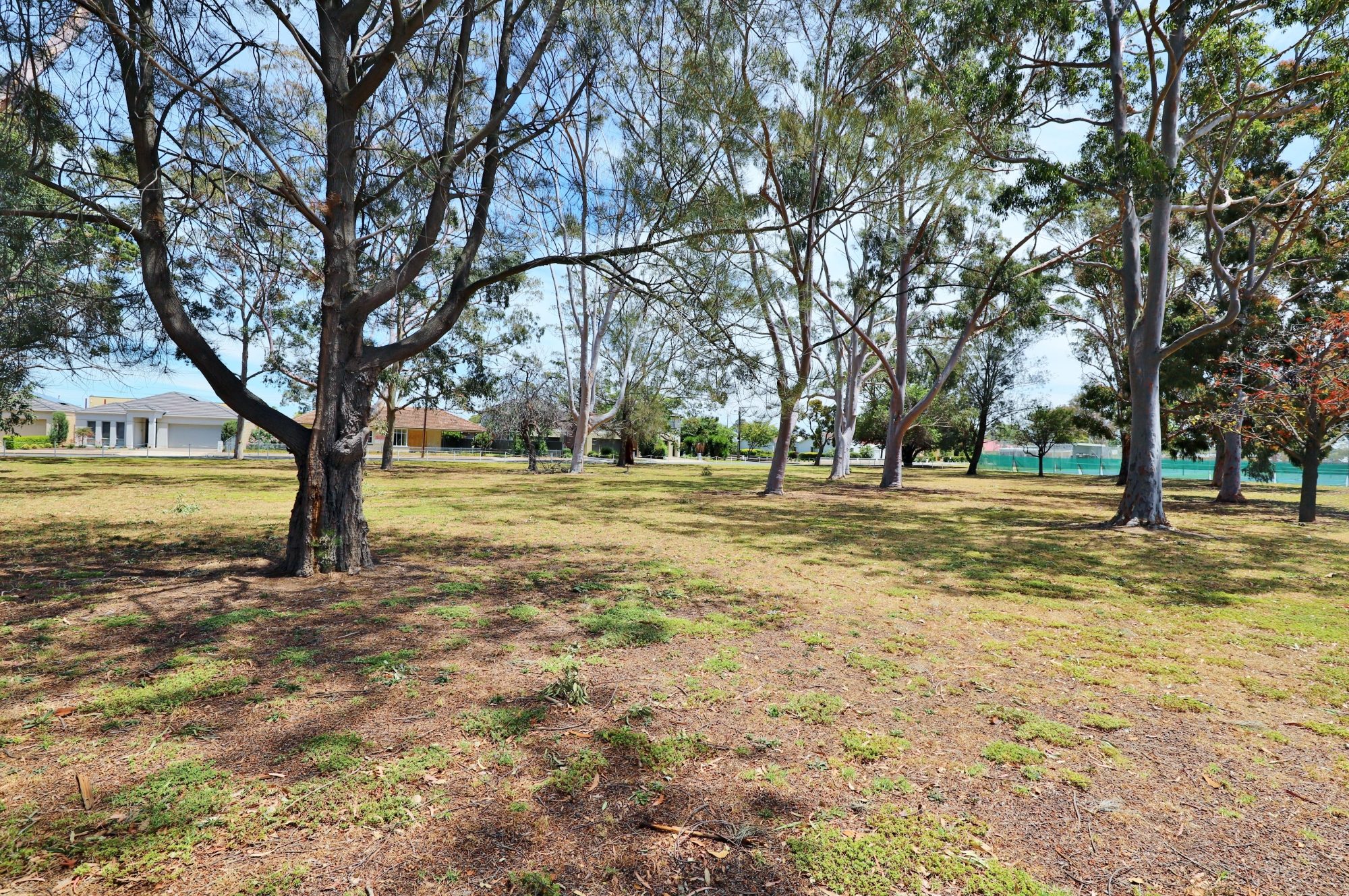 Mckellar Terrace Reserve Southern End 5
