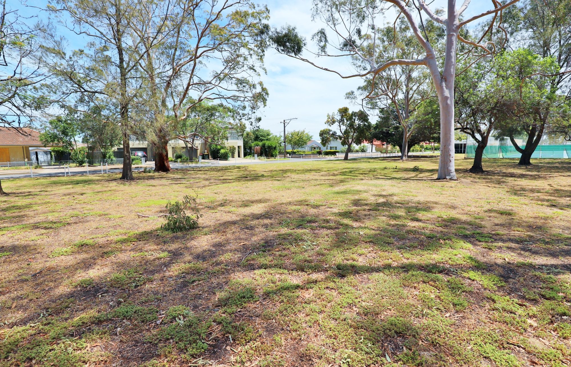 Mckellar Terrace Reserve Southern End 6