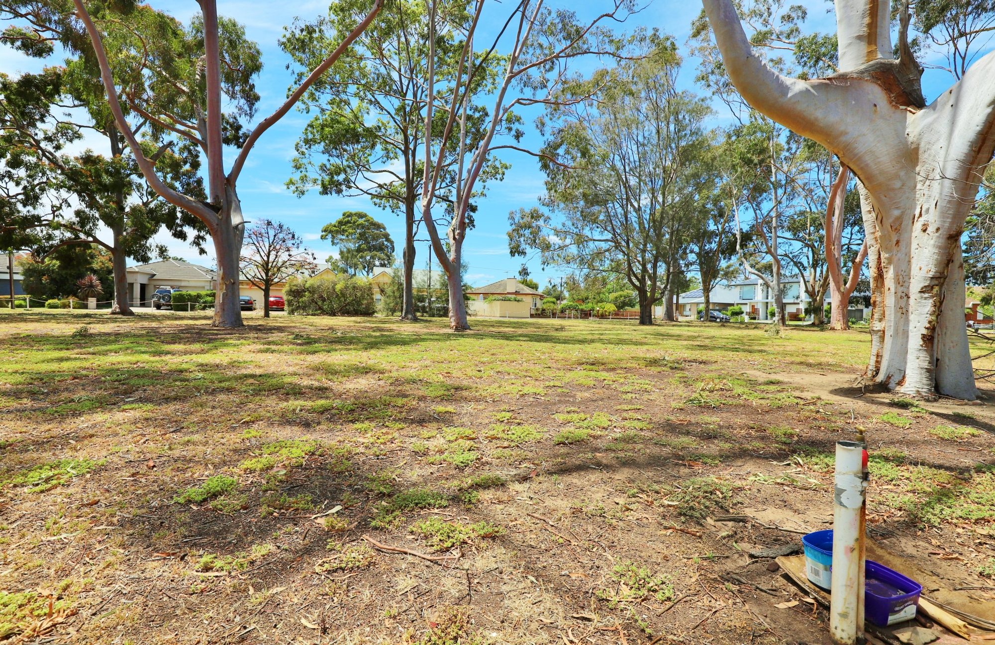 Mckellar Terrace Reserve Southern End 7