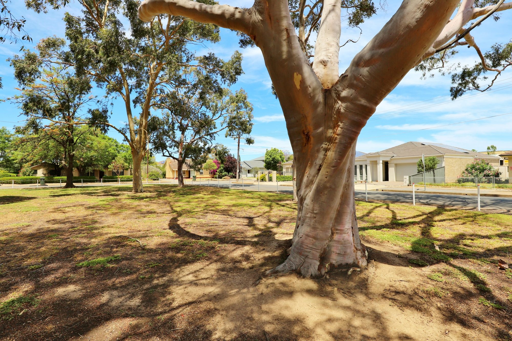 Mckellar Terrace Reserve Southern End 8