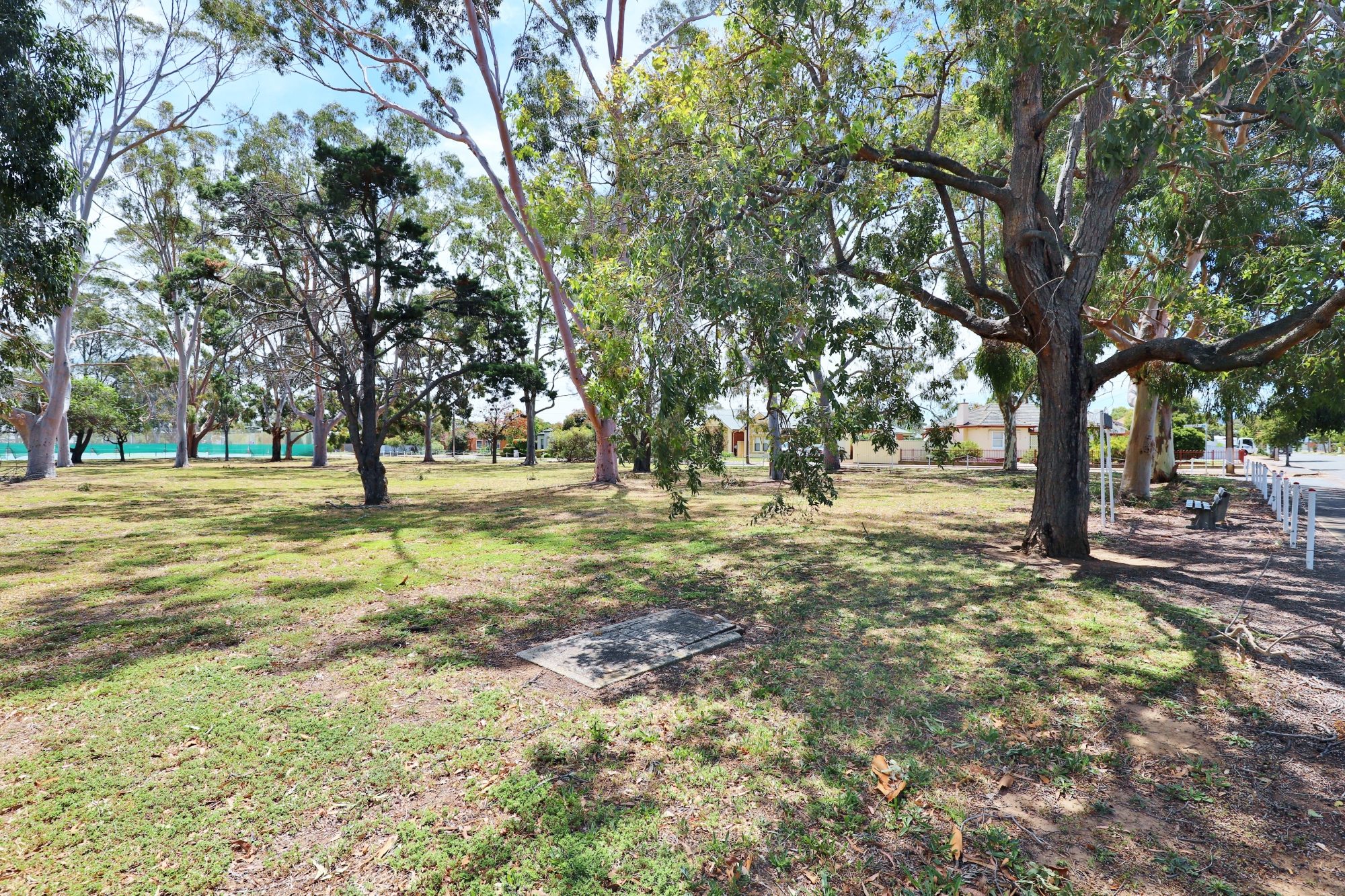 Mckellar Terrace Reserve Southern End 9