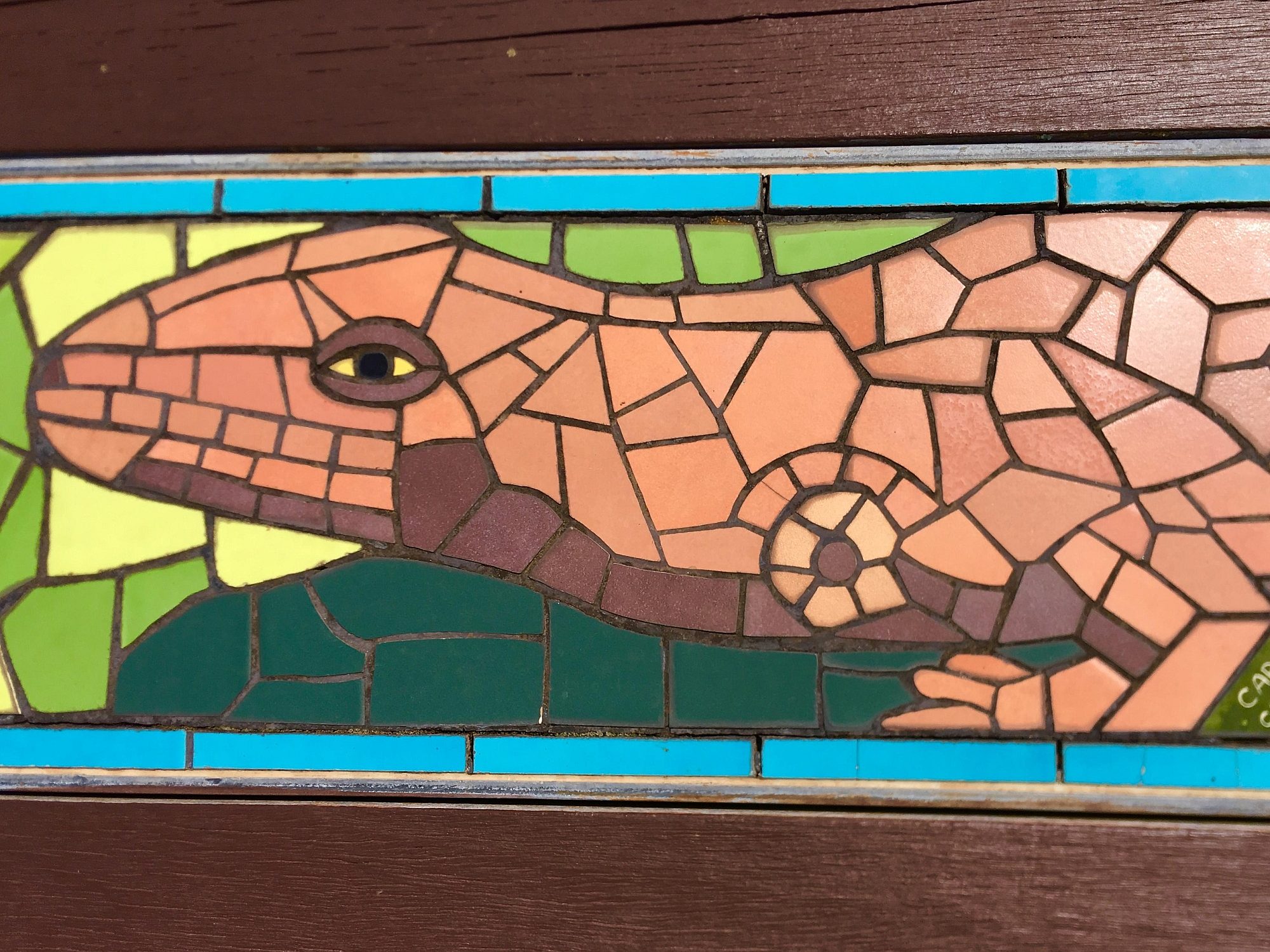 Mostyn Road Reserve Facilities Seats 5