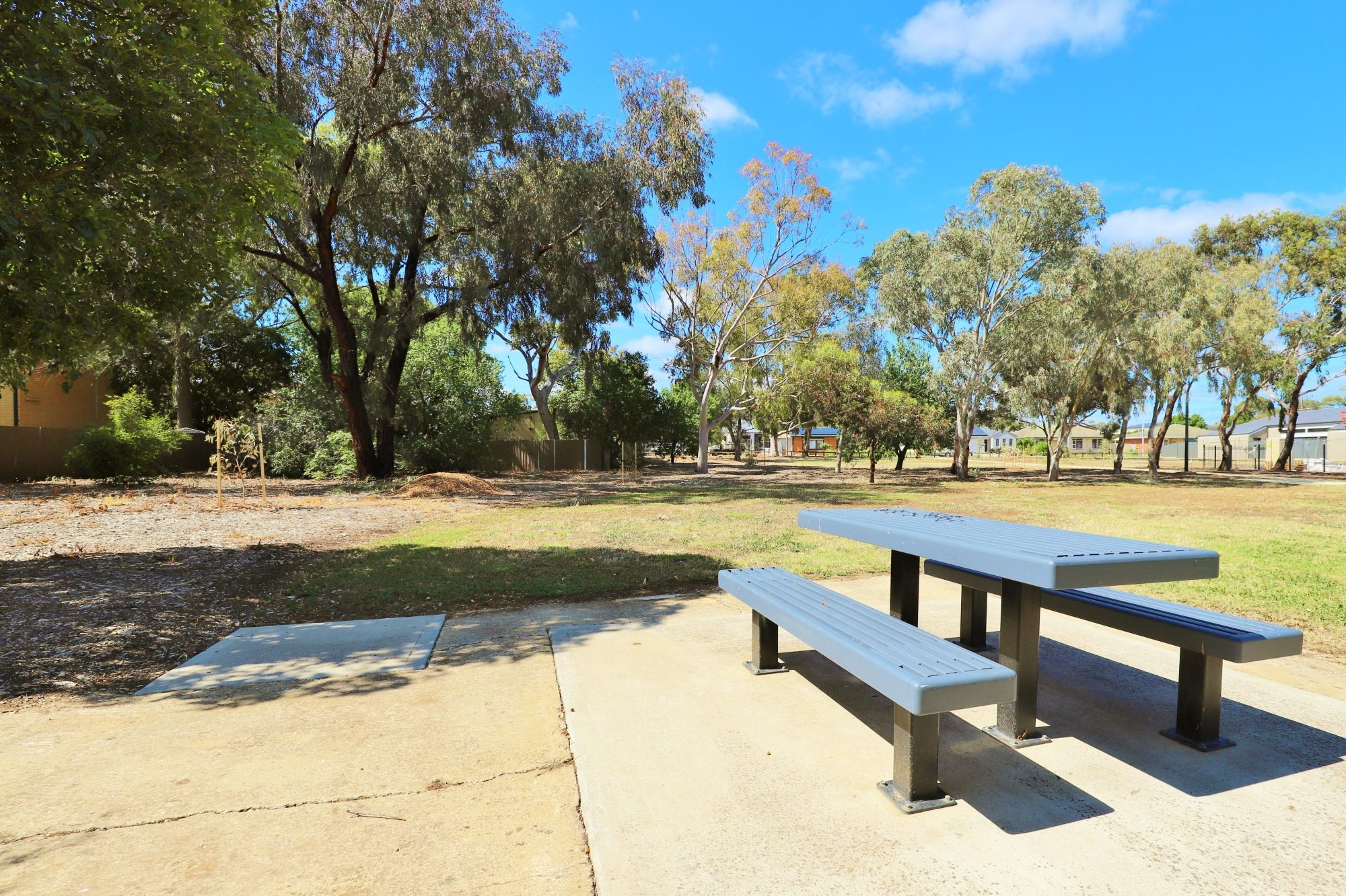 Myer Road Reserve Picnic 1