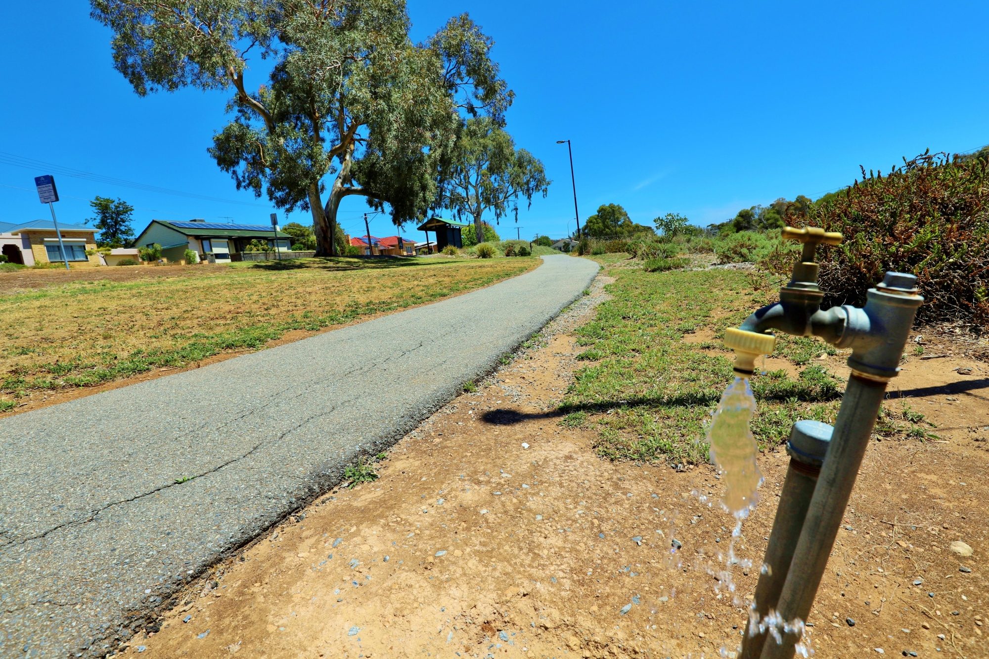 Newland Avenue Linear Park Tap 1