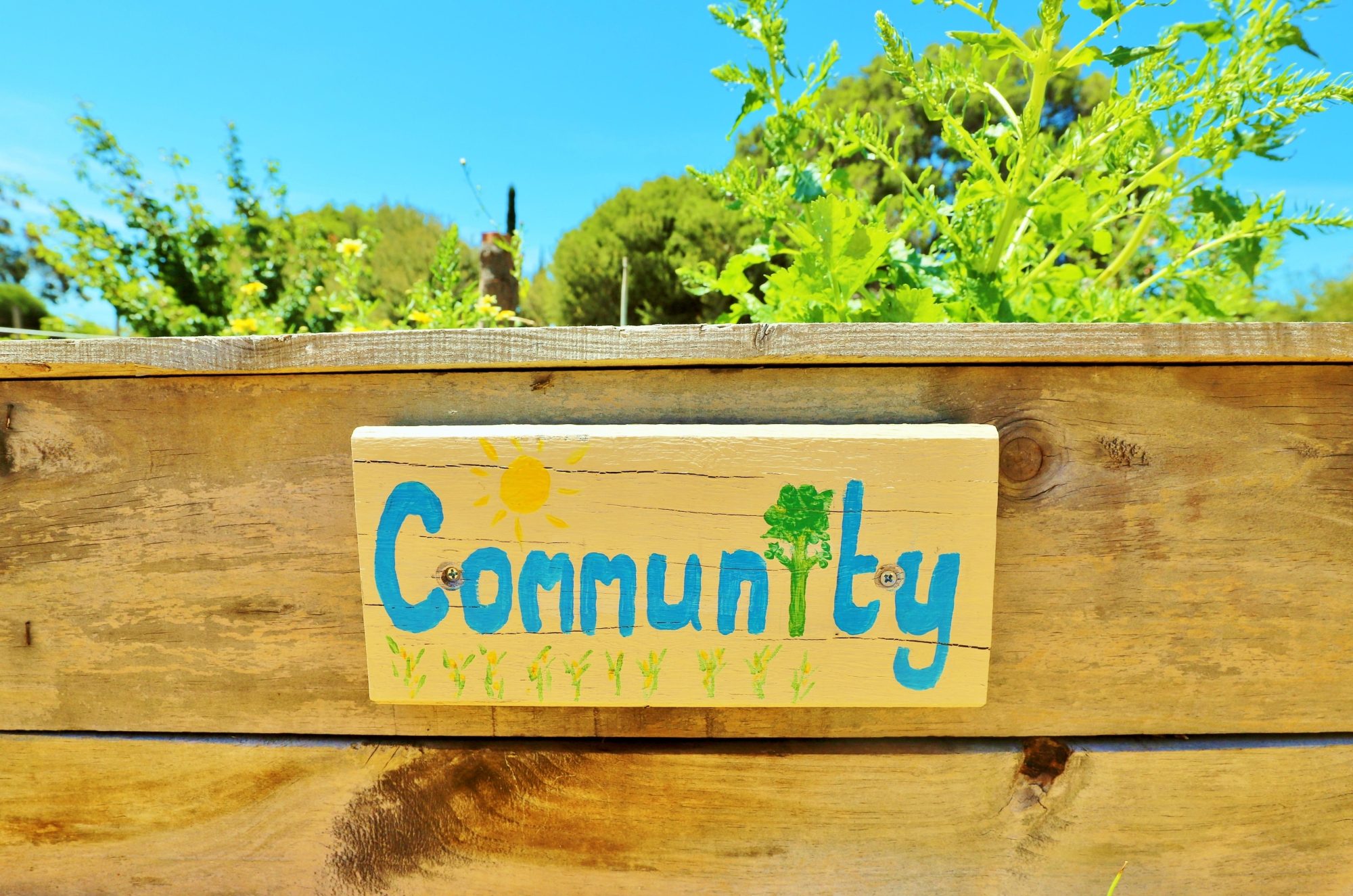 Newland Avenue Reserve Marino Community Garden 6