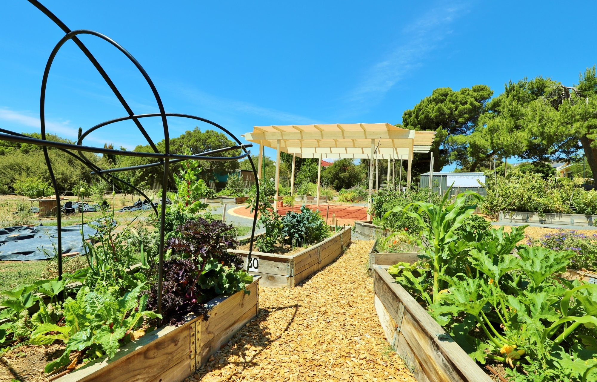 Newland Avenue Reserve Marino Community Garden Pergola 3