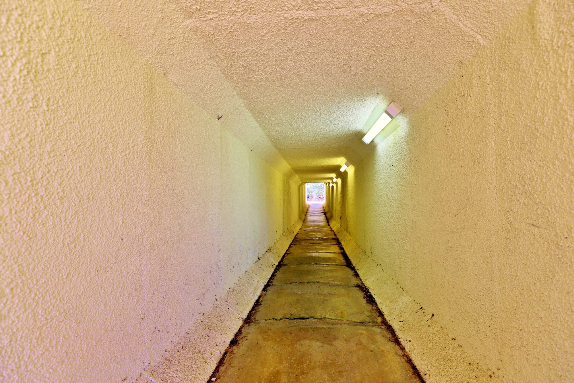 Nimboya Road Reserve Train Tunnel 2