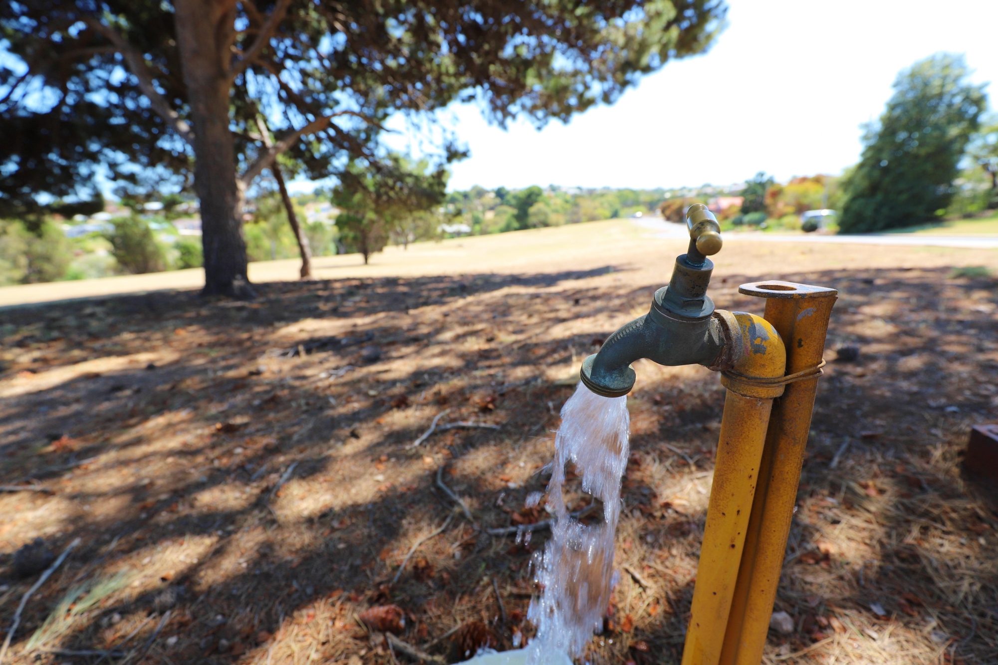 Olivier Terrace Reserve Facilitities Tap 1