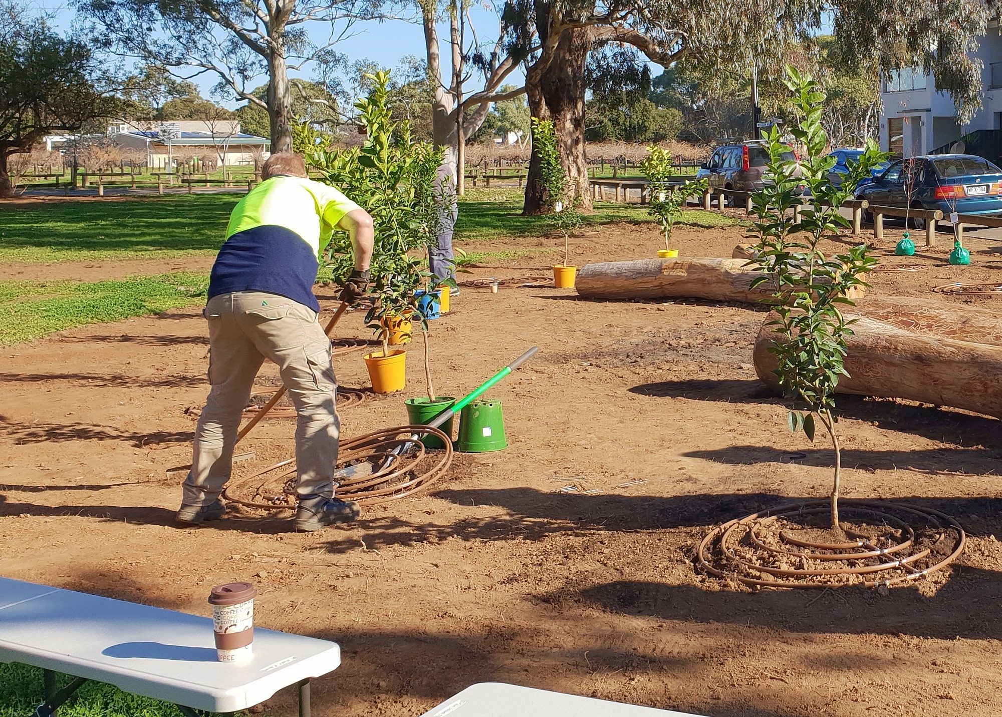 Parsons Grove Reserve Community Planting Day 1