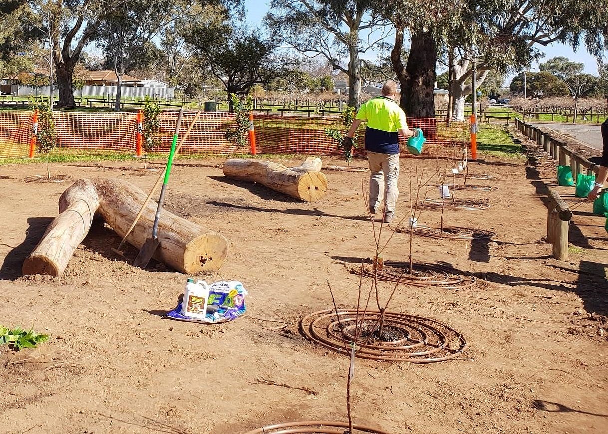 Parsons Grove Reserve Community Planting Day 3
